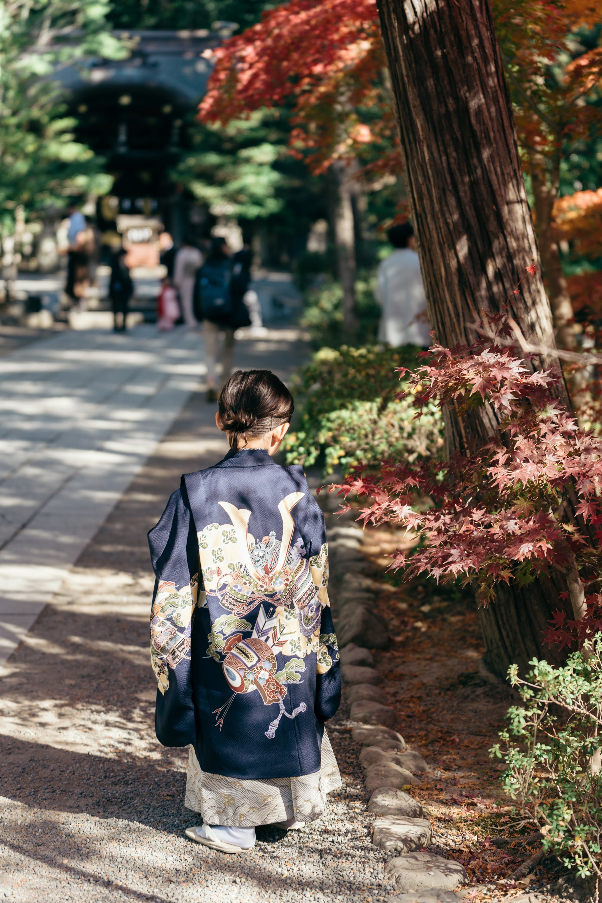 鎌倉秋季家庭攝影:攝影師 Sezaki 捕捉你的故事