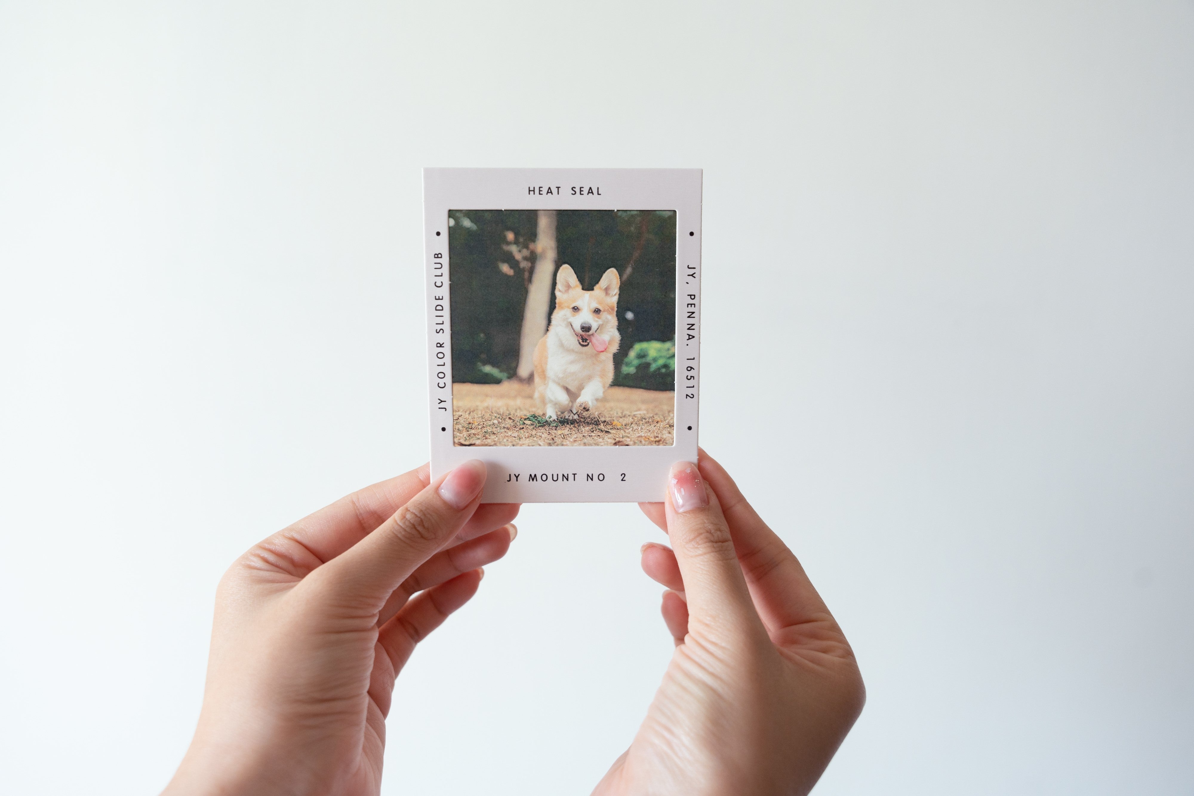 Softcover Photo Book