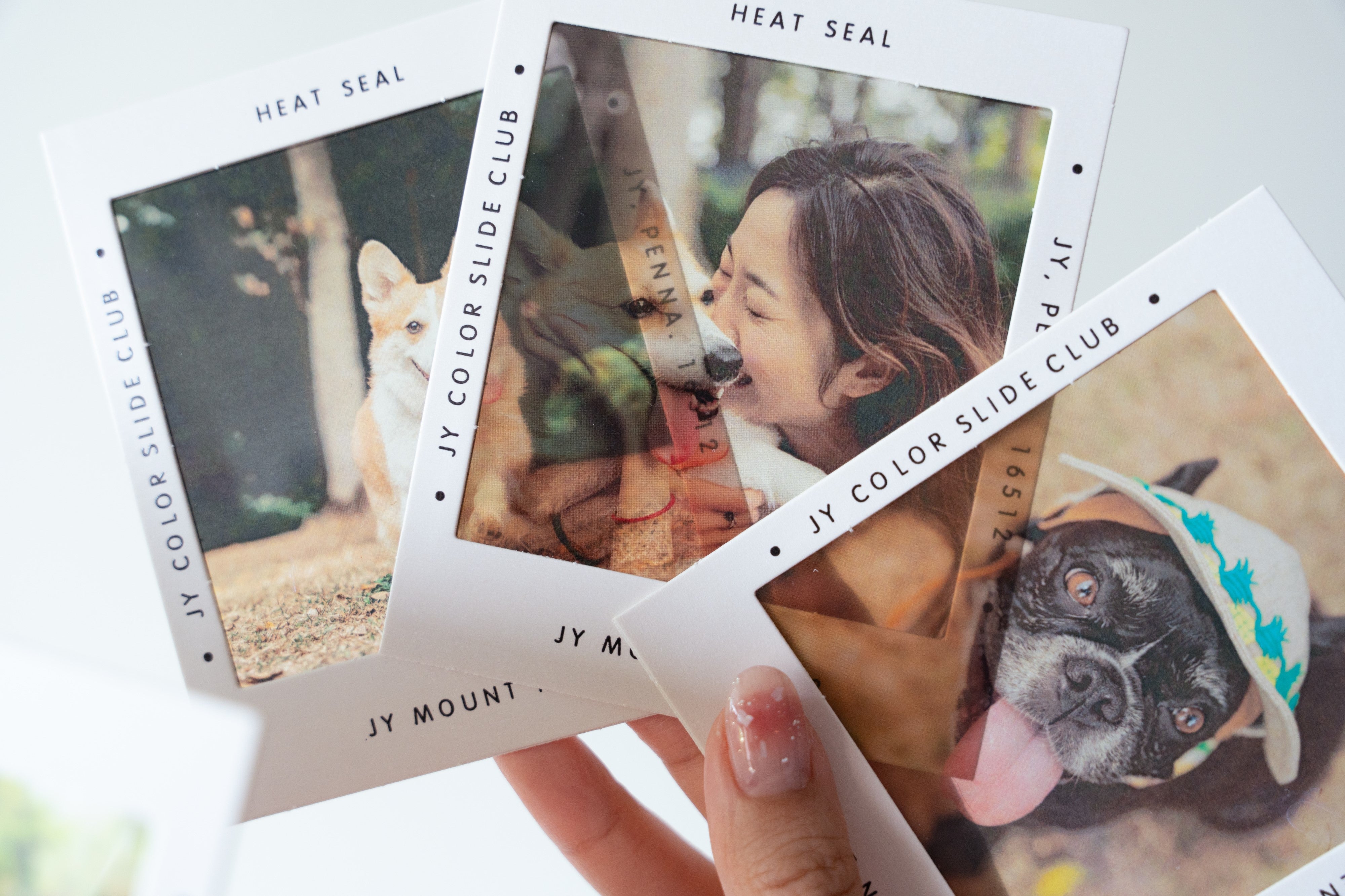 Softcover Photo Book