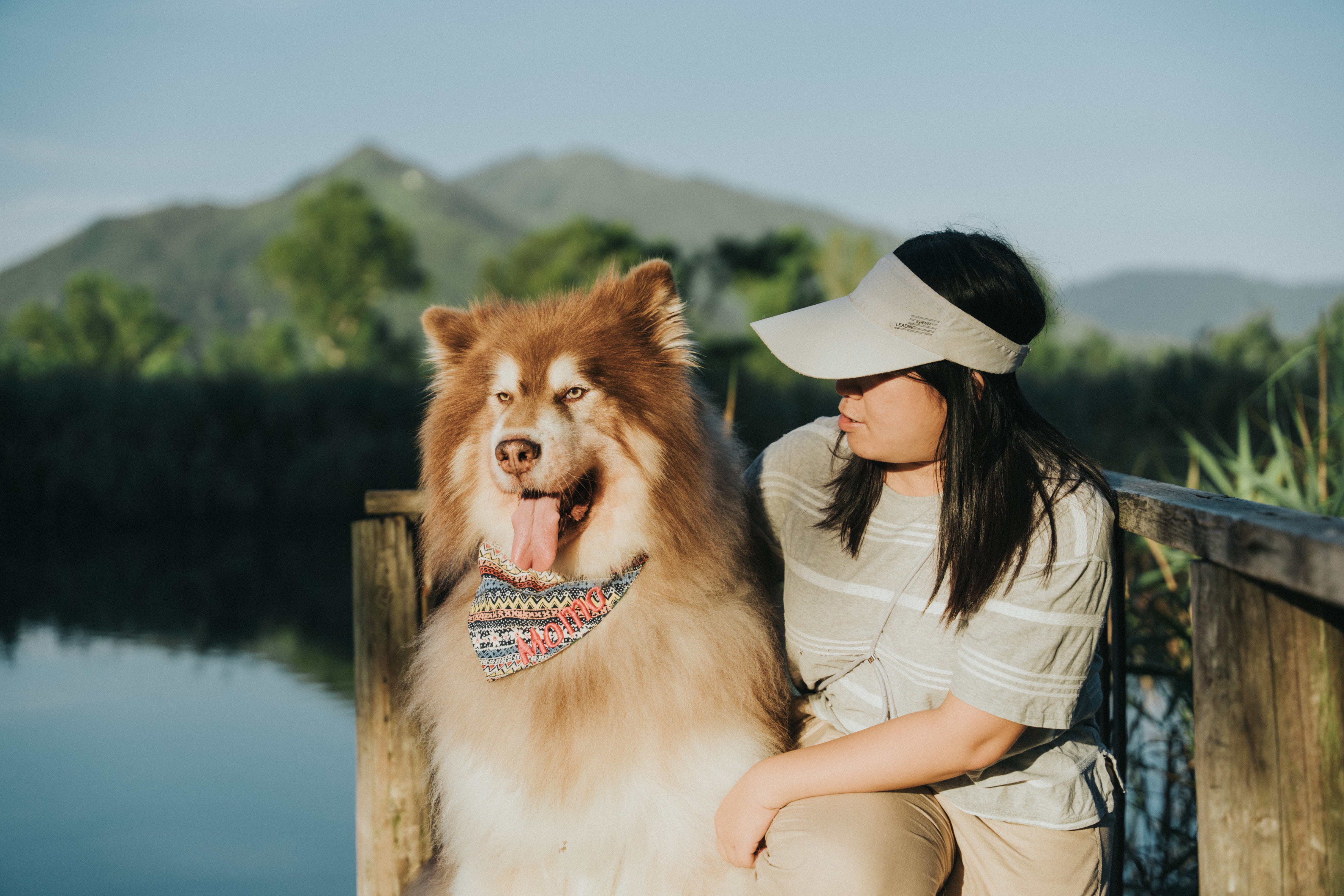 Wagging Moments Photos