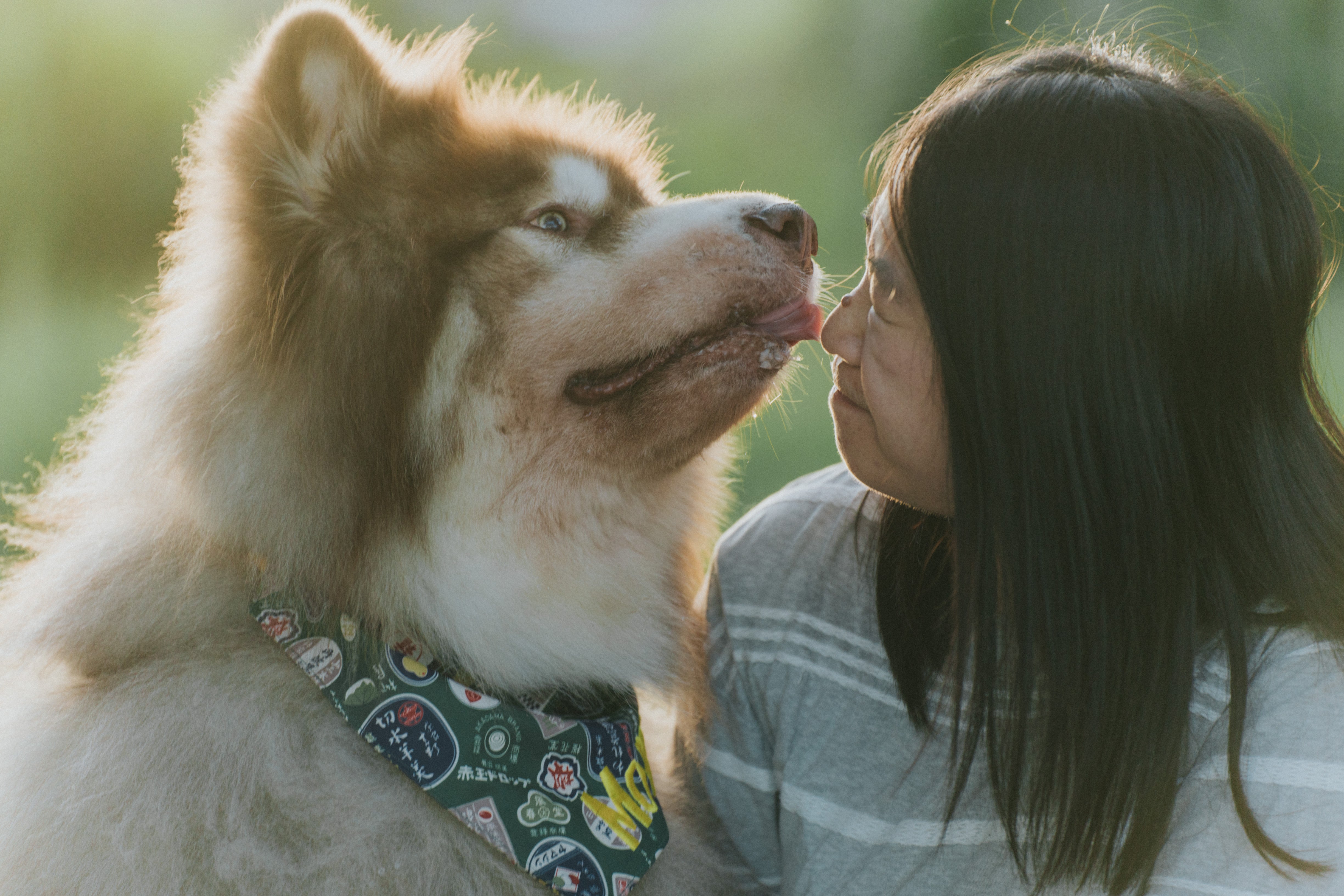 Wagging Moments Photos