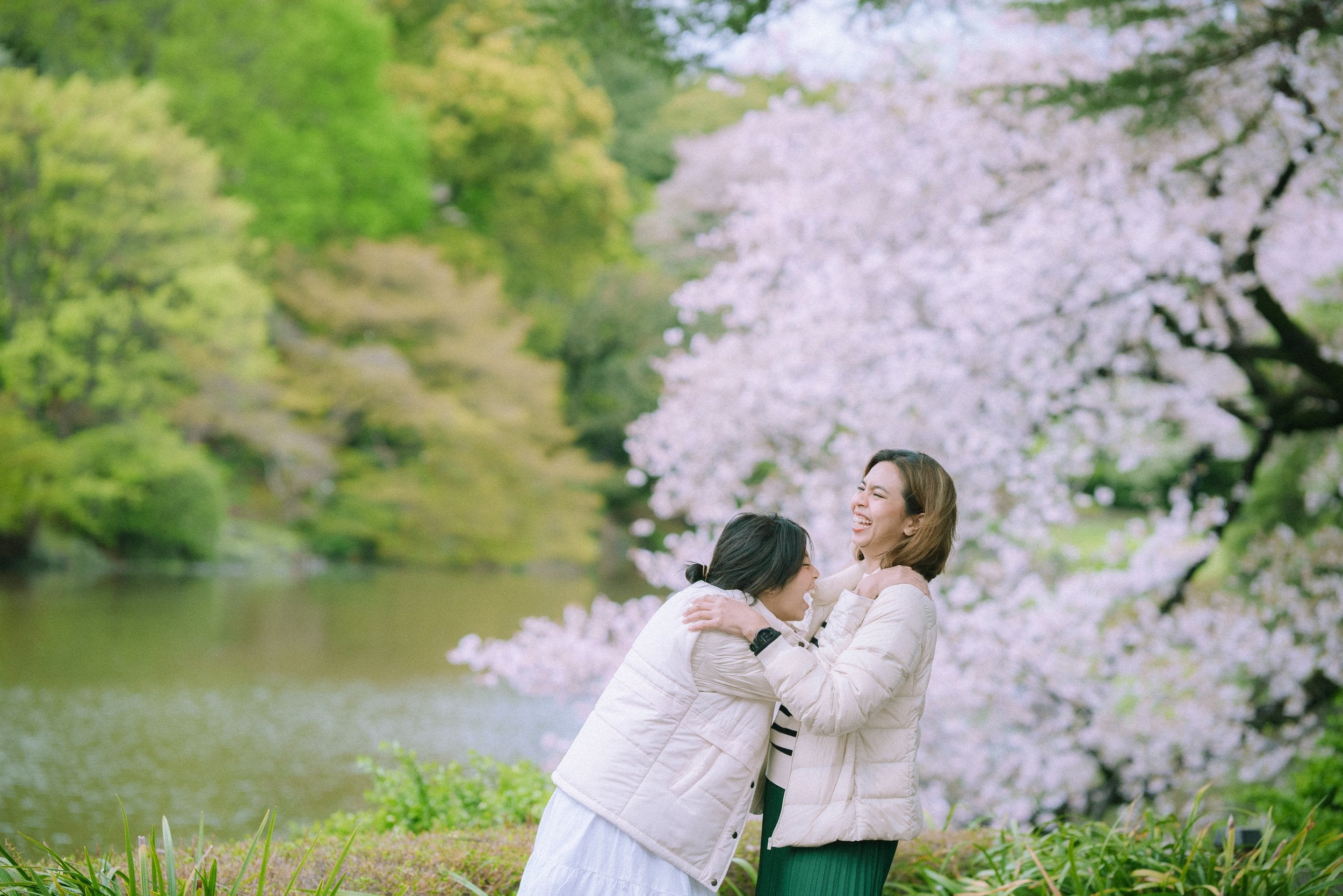 想留下最美的東京河津櫻家庭照?找Mimi就對了!