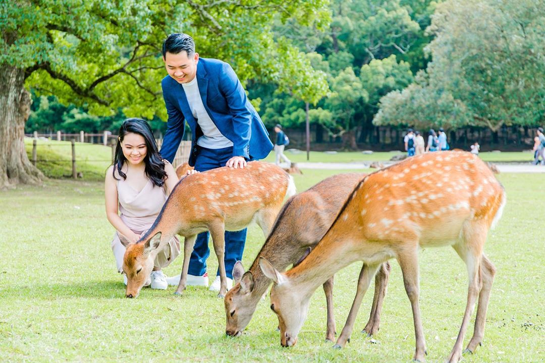 Nara UNESCO Photography Japan | Summer Photography Japan