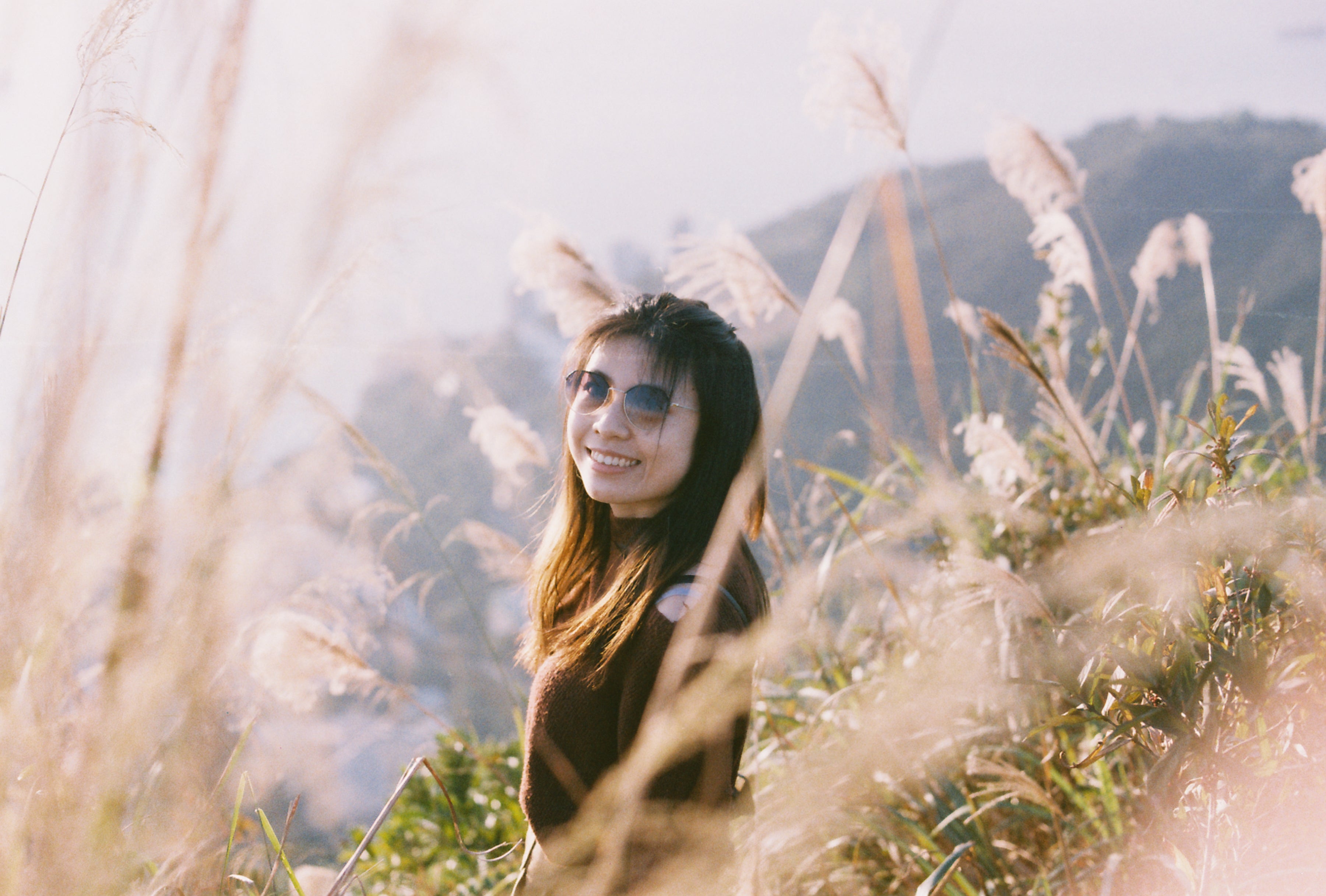 港山地攝影之旅 | 西部高山芒草攝影