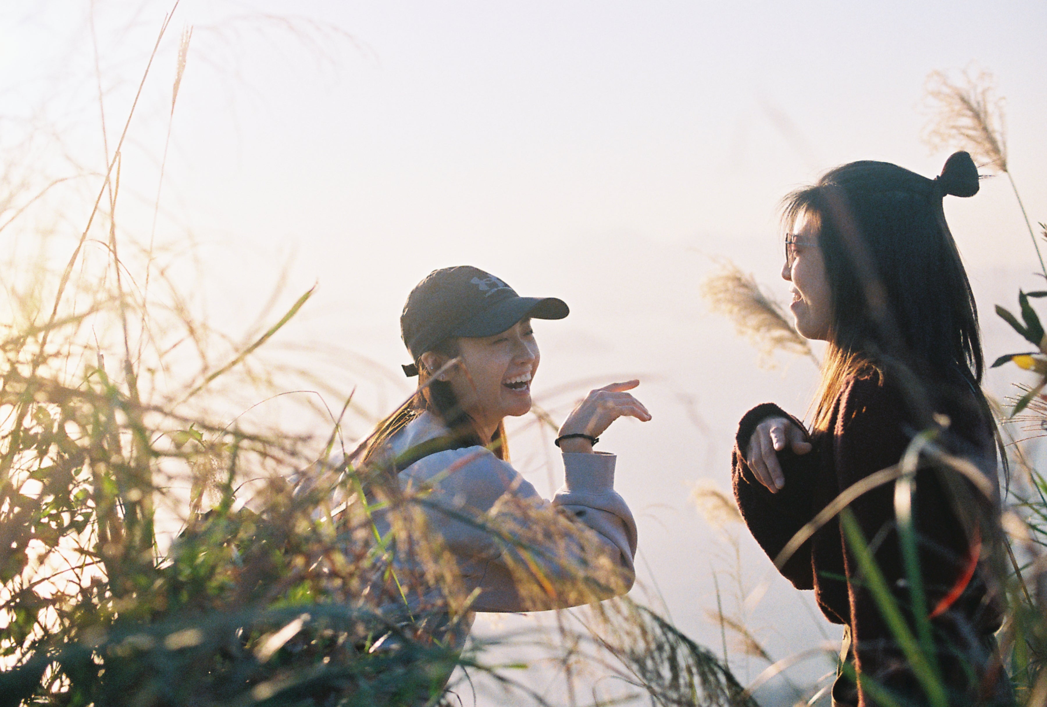 港山地攝影之旅 | 西部高山芒草攝影