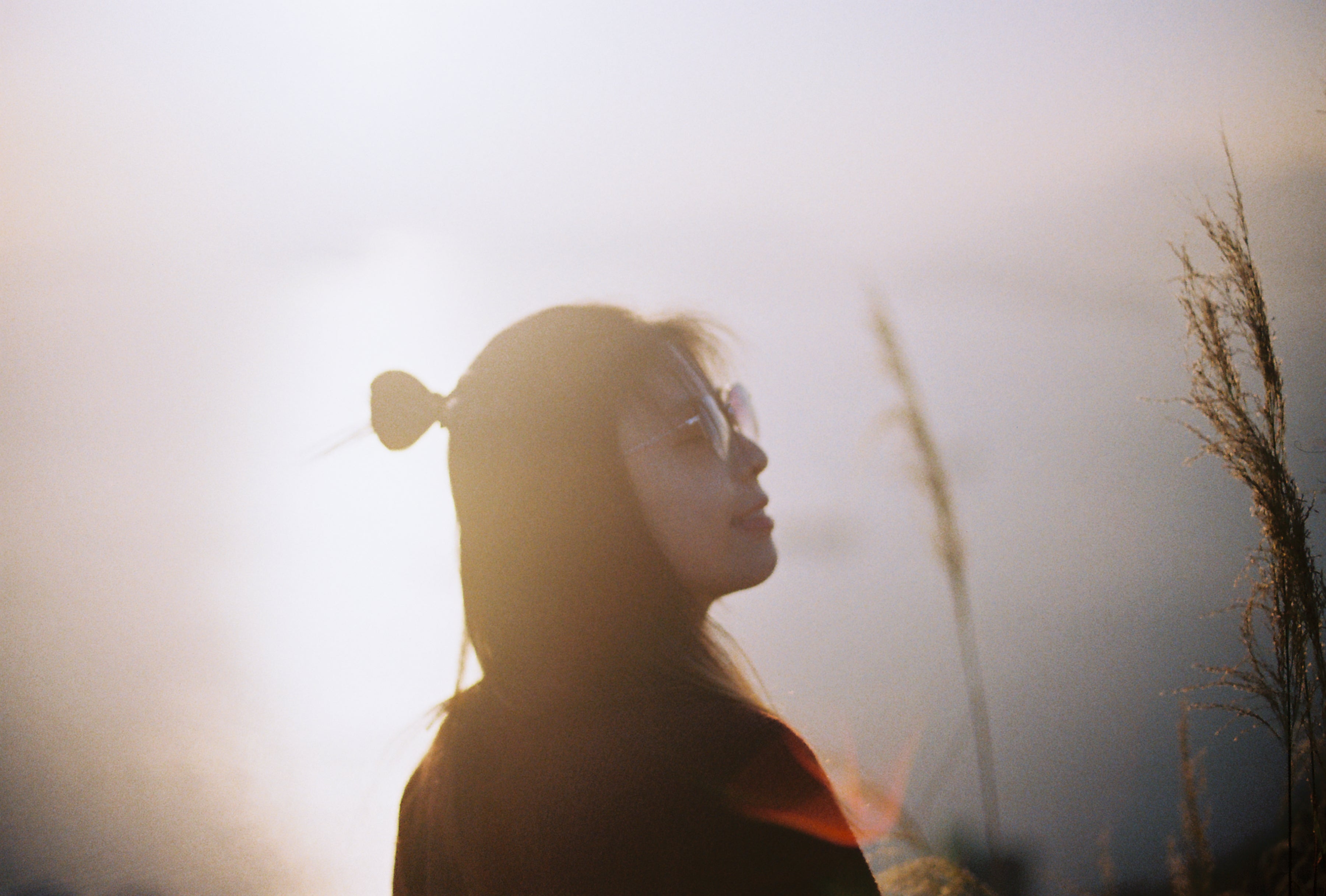 港山地攝影之旅 | 西部高山芒草攝影