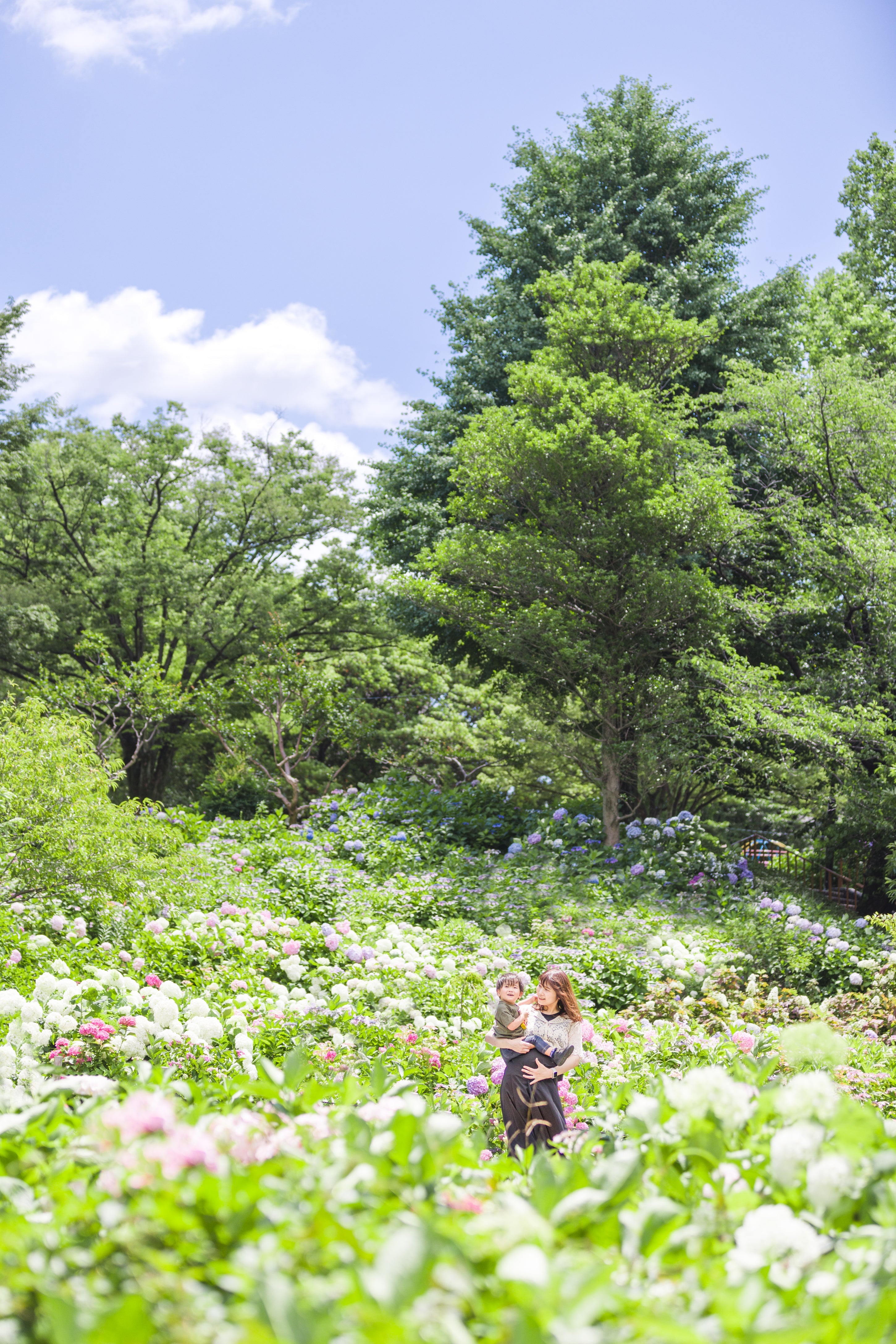 古屋竹園攝影 | 日本春攝影