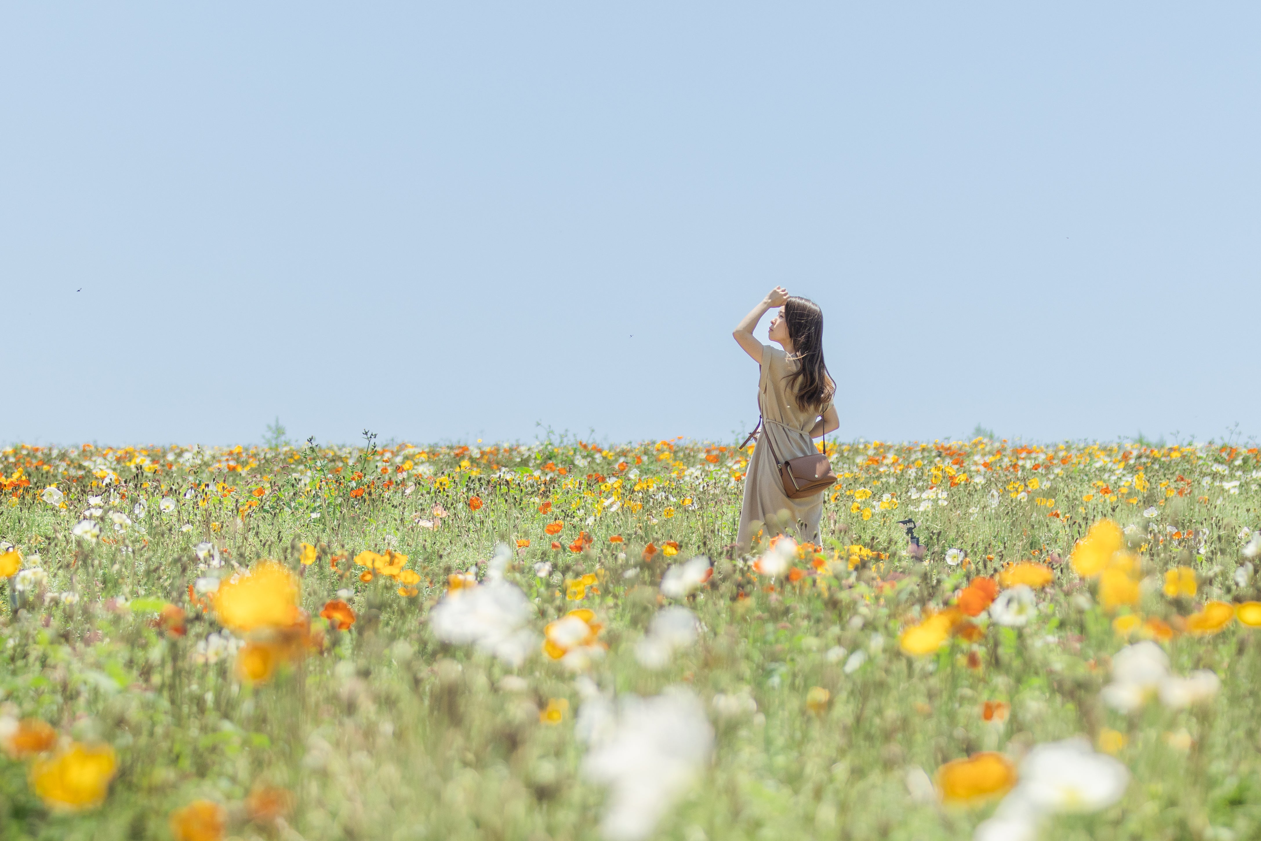 日本花季攝影 | 名古屋專業家庭攝影
