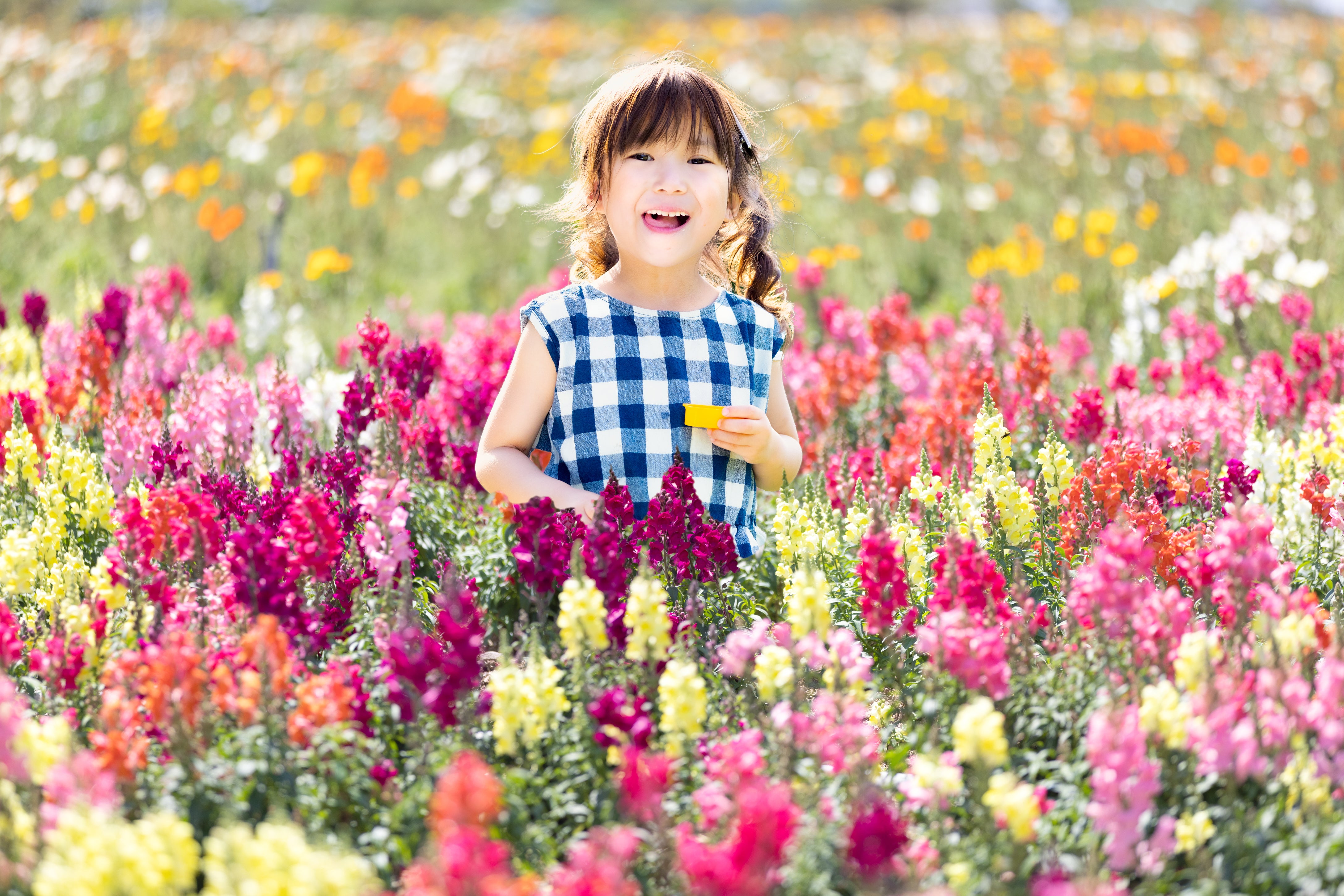 日本春季寫真拍攝 | 名古屋攝影預約