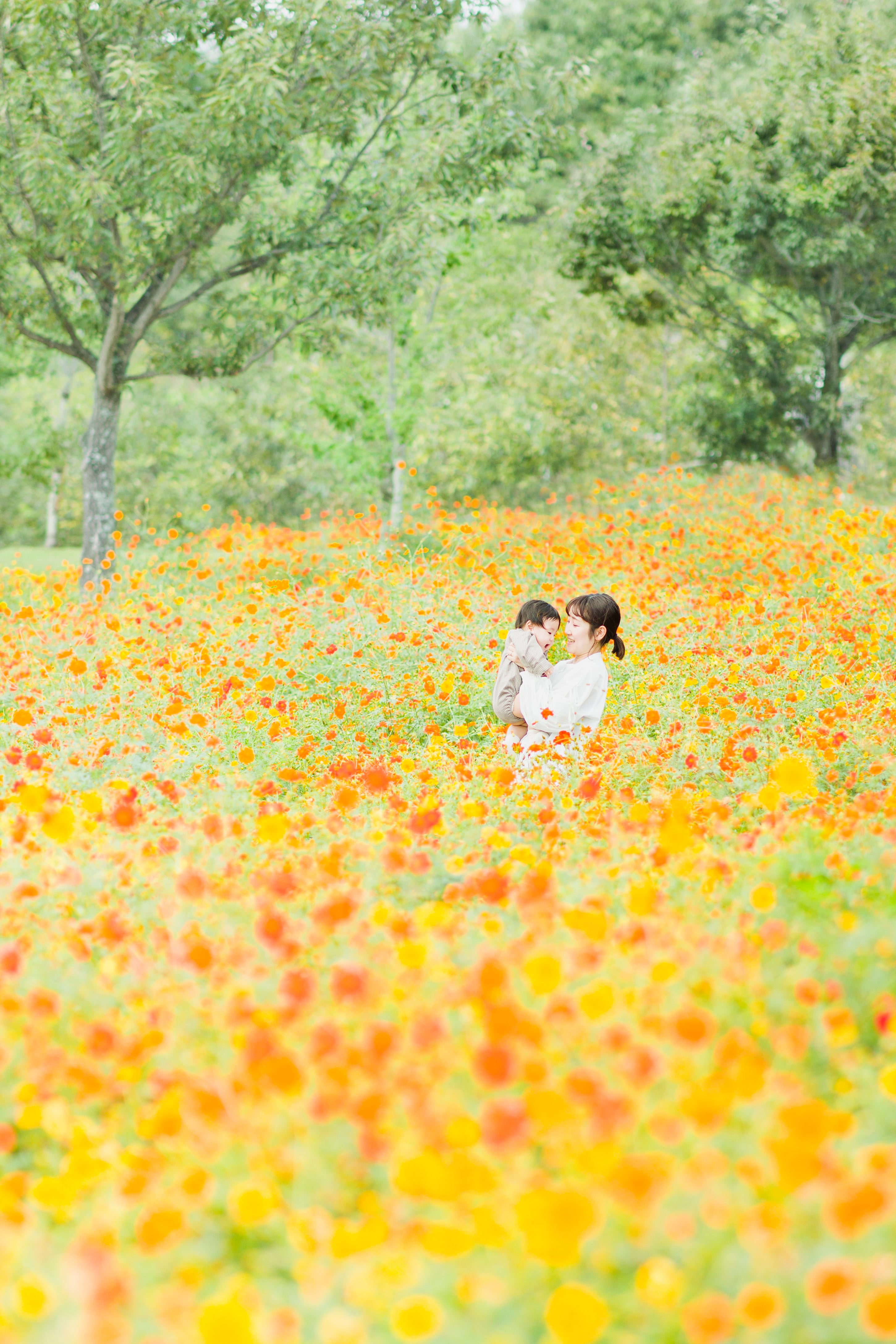 名古屋秋季家庭攝影:與Ula一起體驗溫馨時刻