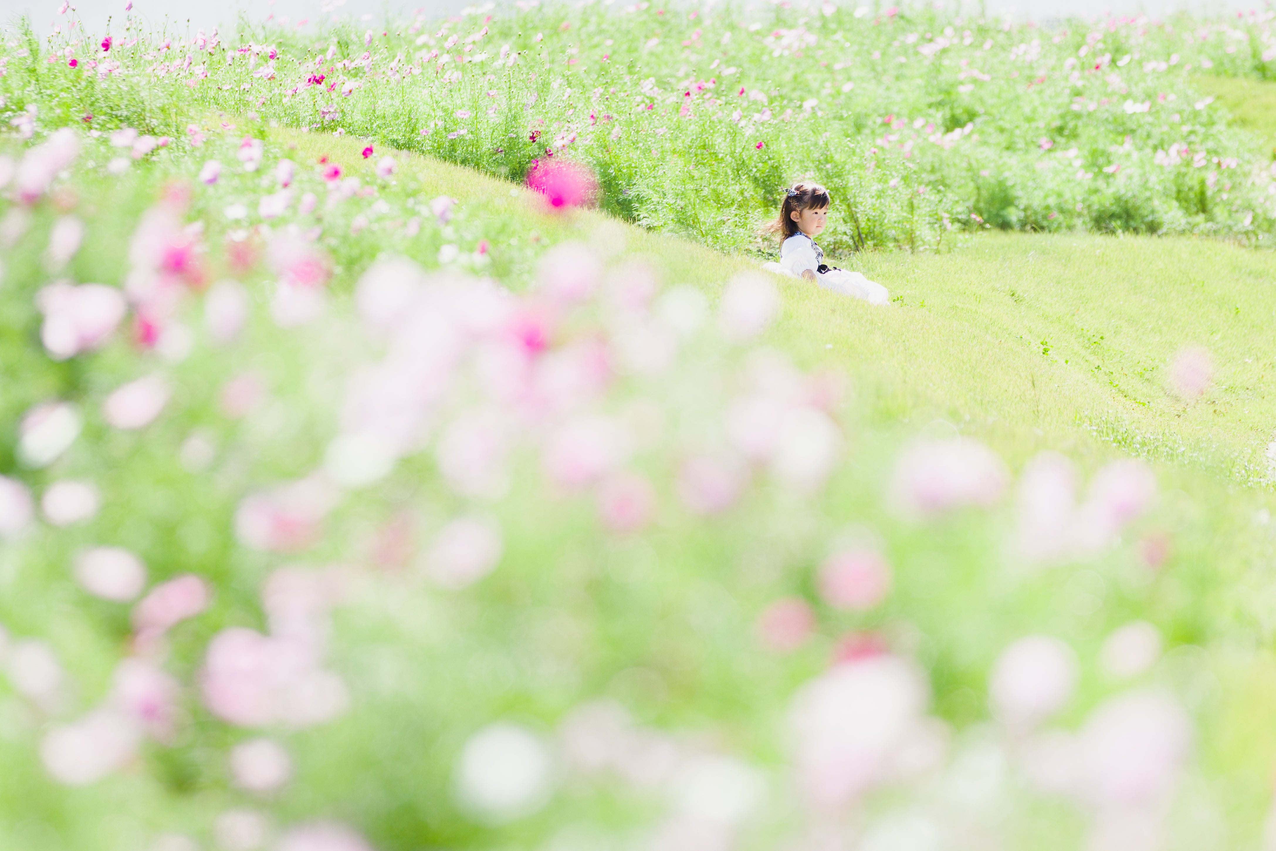 名古屋秋季家庭攝影:與Ula一起體驗溫馨時刻