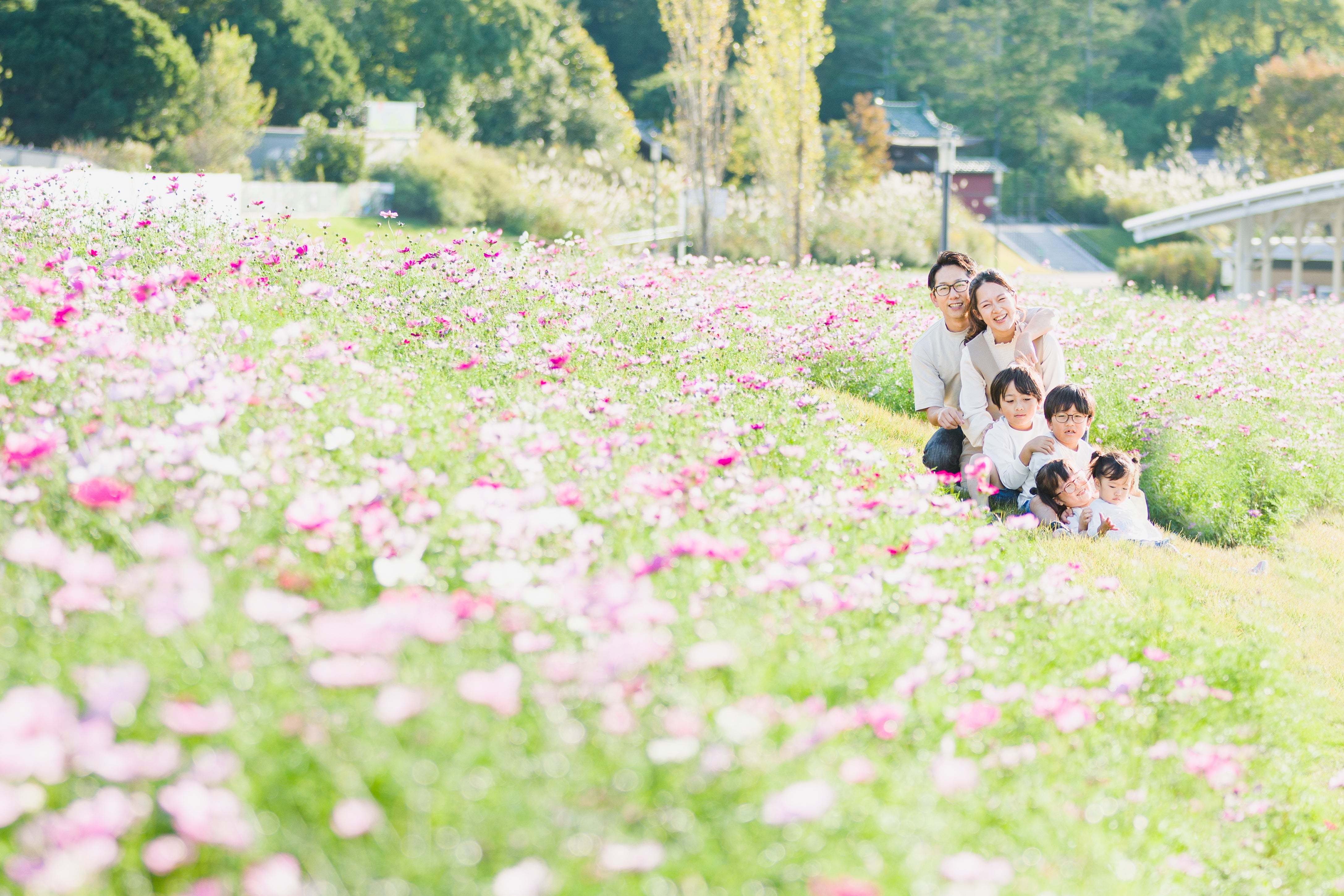 名古屋秋季家庭攝影:與Ula一起體驗溫馨時刻