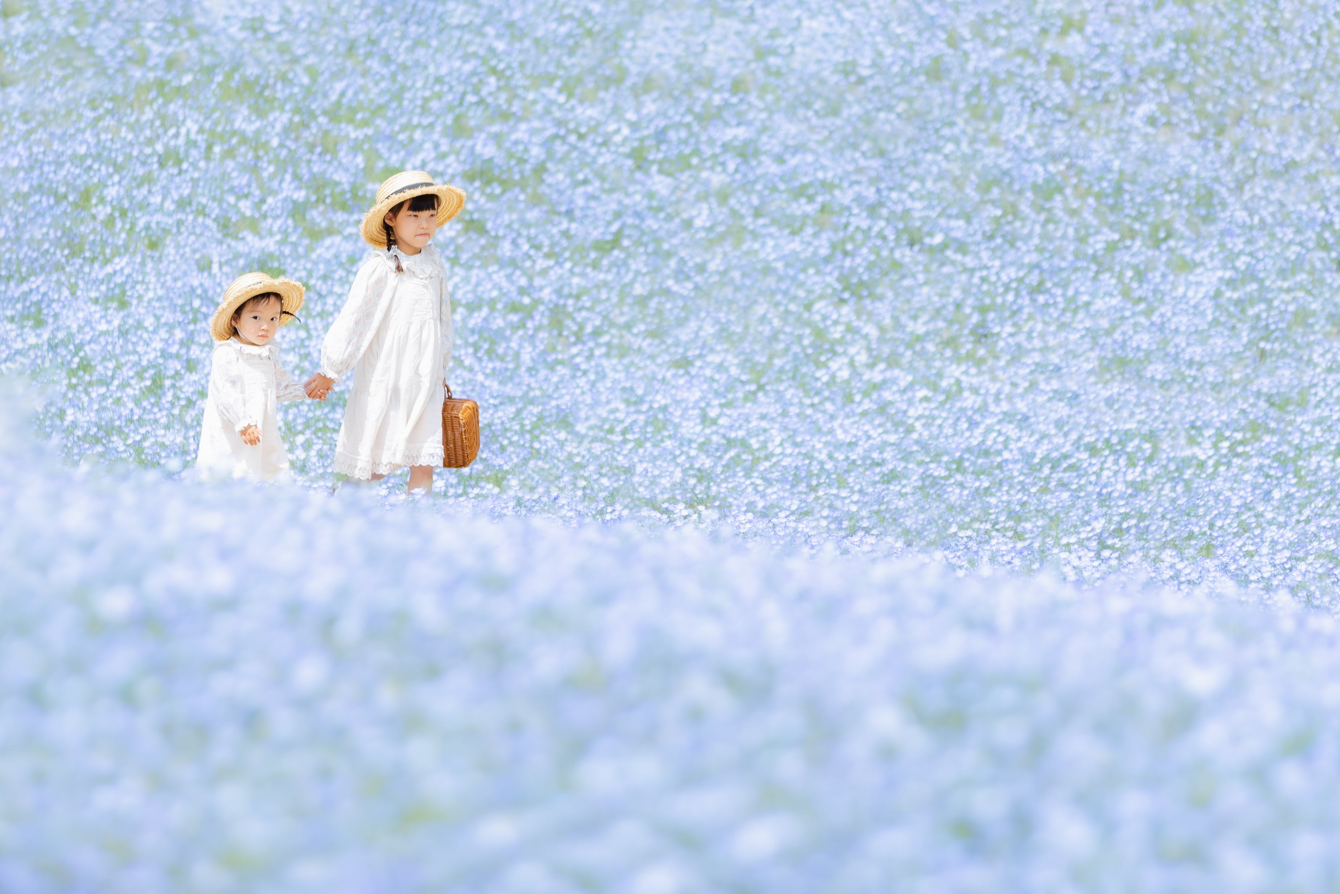 岐阜世界玫瑰花園攝影 | 日本花卉攝影