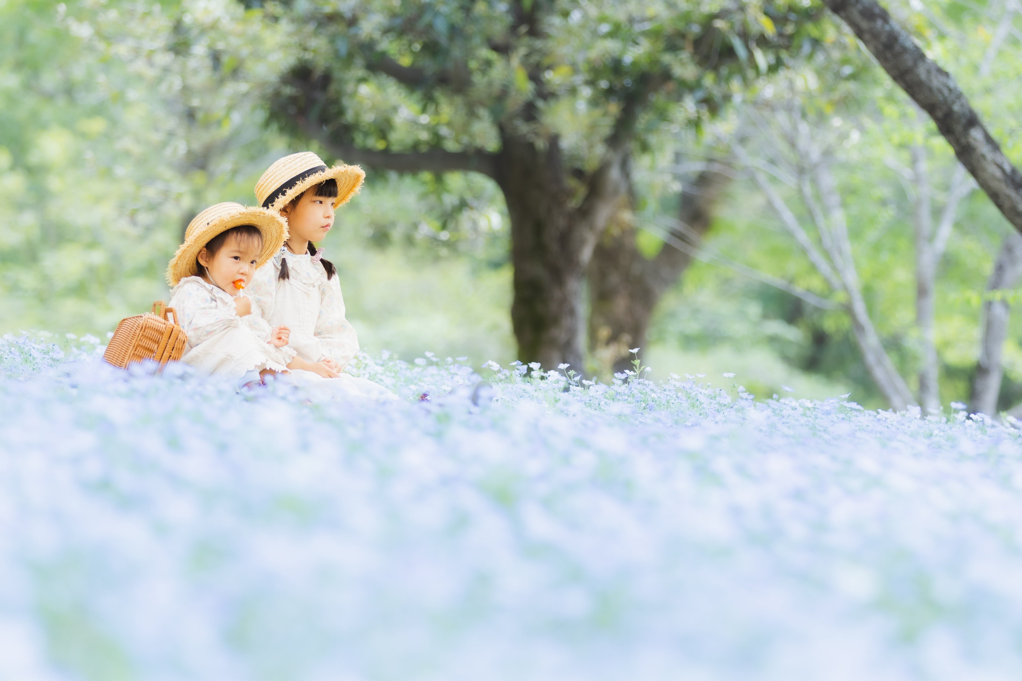 岐阜世界玫瑰花園攝影 | 日本花卉攝影