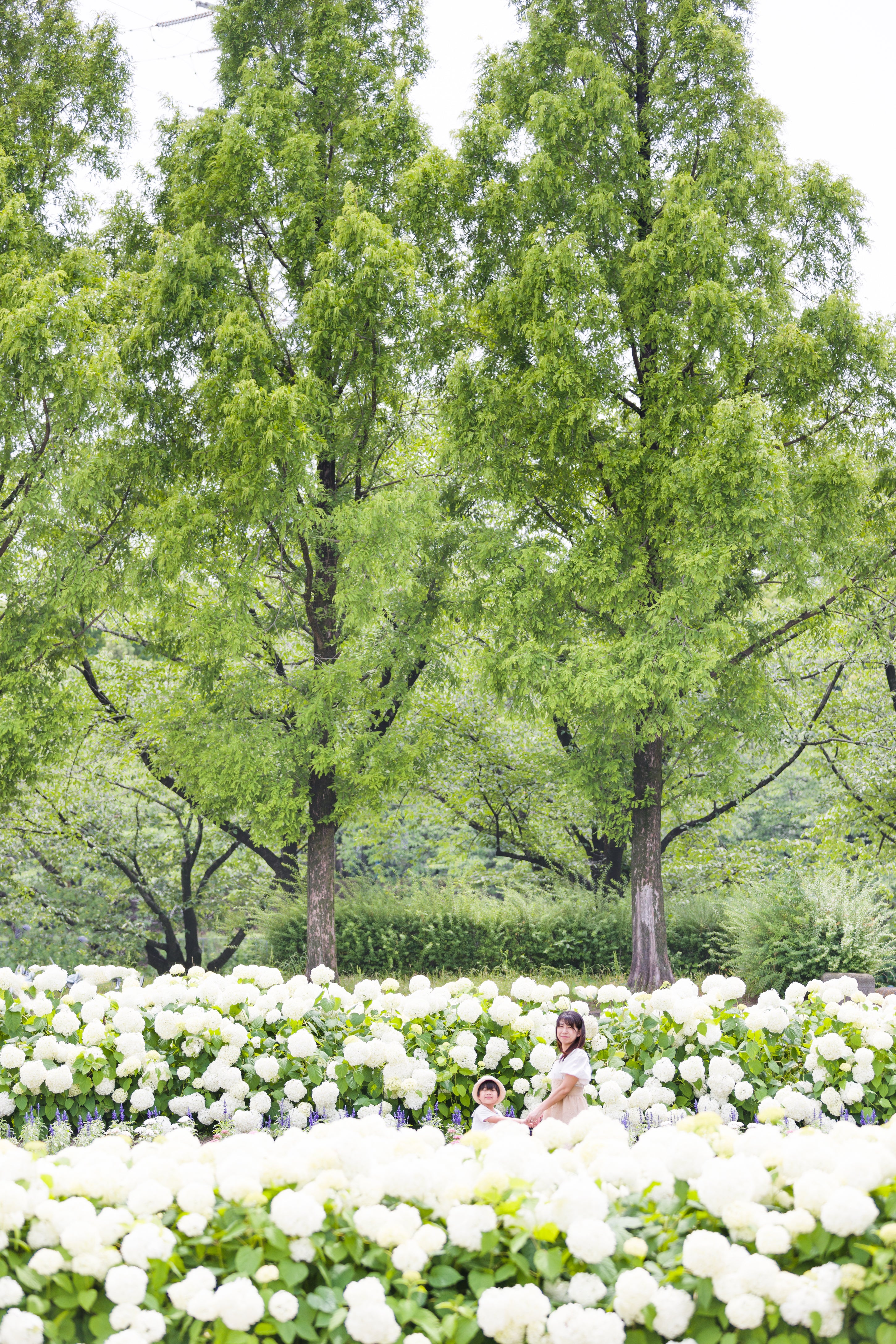 名古屋:與Ula一起荒子川公園攝影之旅