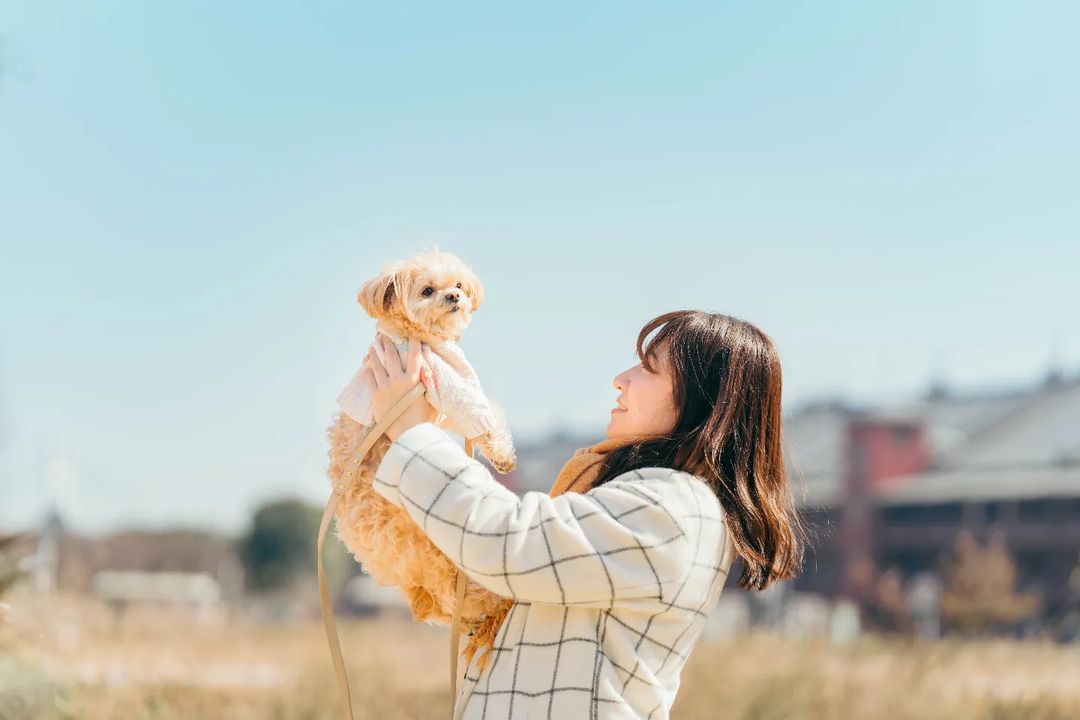 家庭寵物時光|東京神社樂園|親子寵物歡樂
Family Pet Lifestyle | Tokyo Shrine Garden | Owner & Pet Joyful Moments