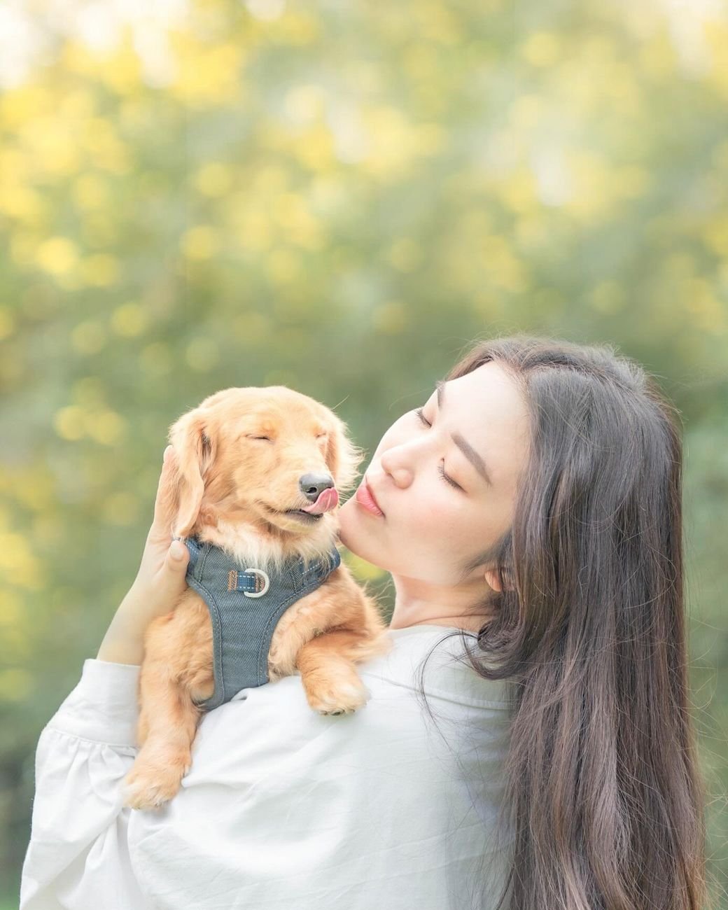 Moko 的魔法鏡頭:寵物攝影定格毛孩開心時刻