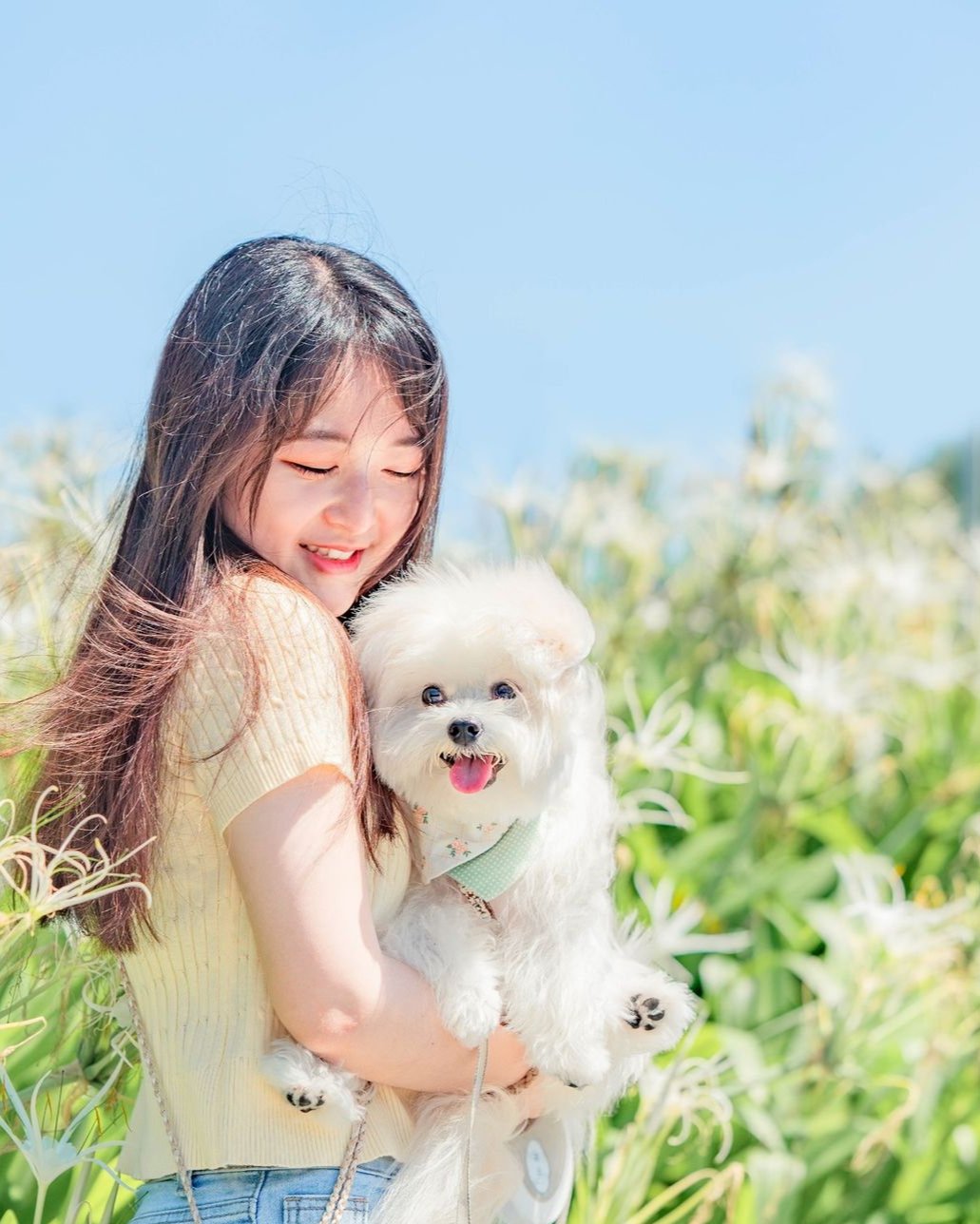 Moko 的魔法鏡頭:寵物攝影定格毛孩開心時刻