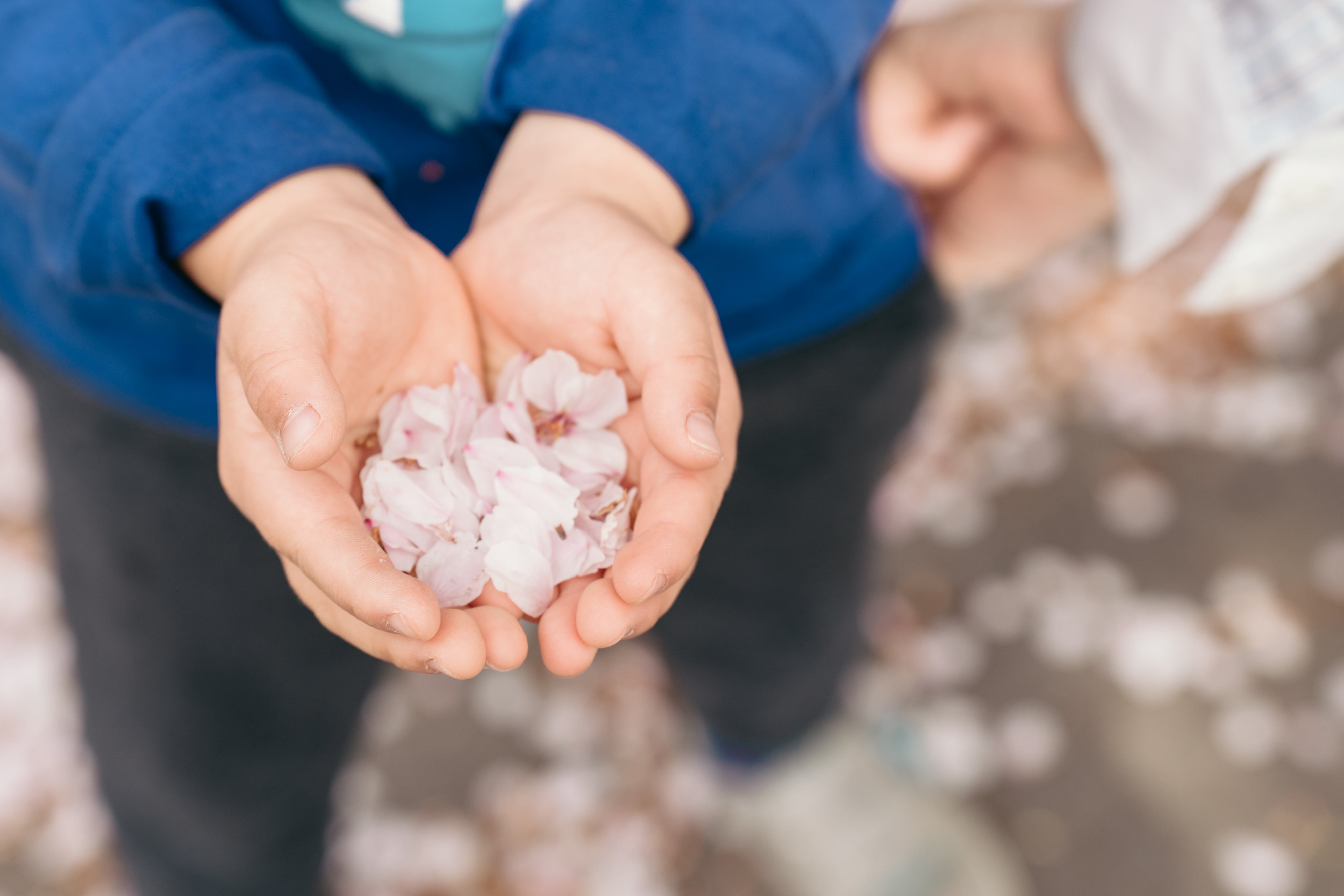 神奈川家庭攝影|日本鎌倉傳統拍照