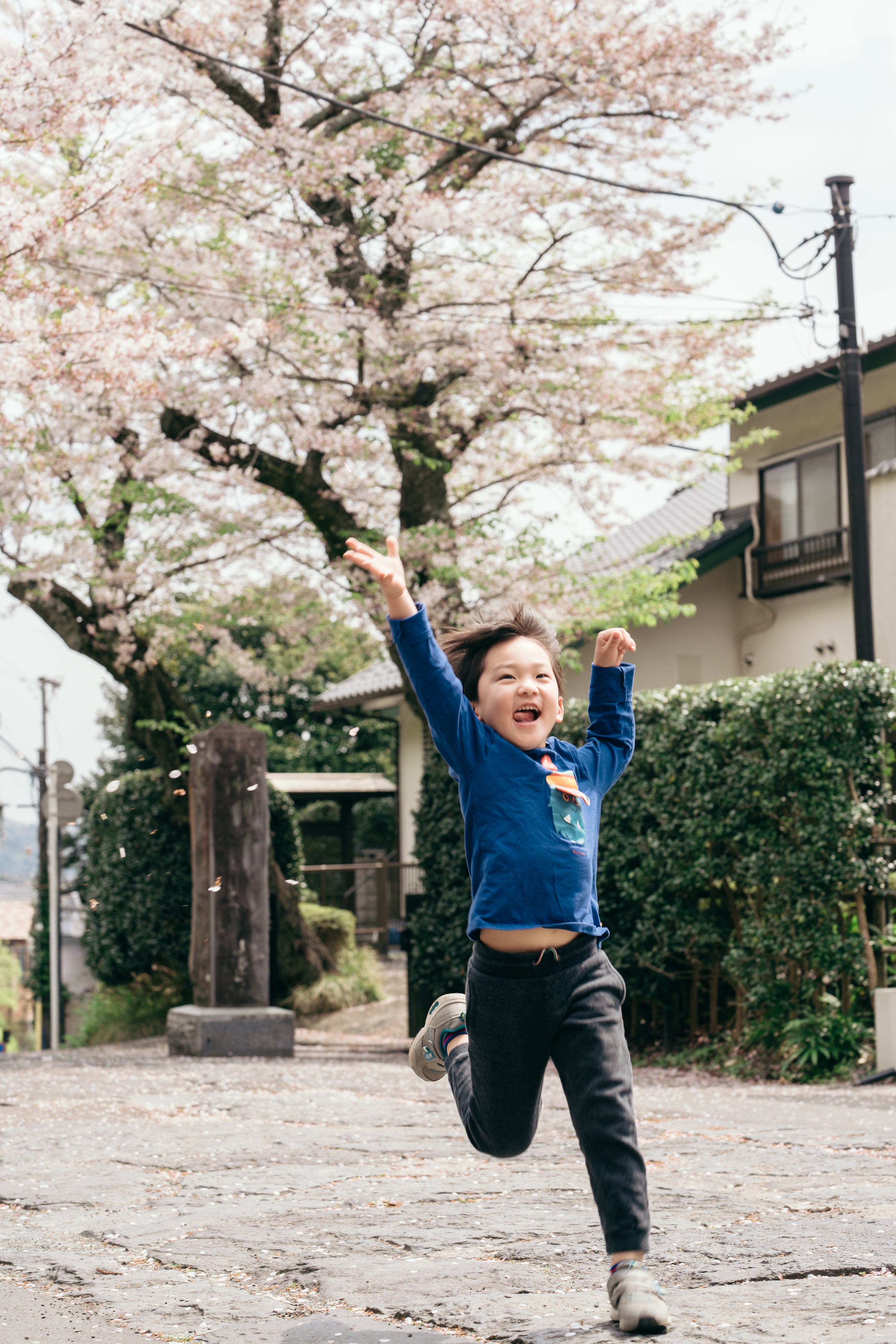 神奈川家庭攝影|日本鎌倉傳統拍照