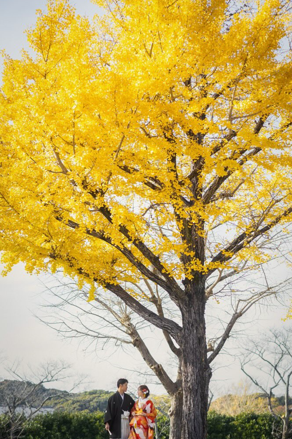 名古屋和服體驗攝影|專業攝影師Leaf打造你的完美和服之旅