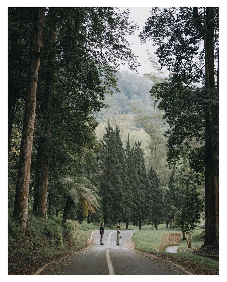 Japanese Photographer Booking