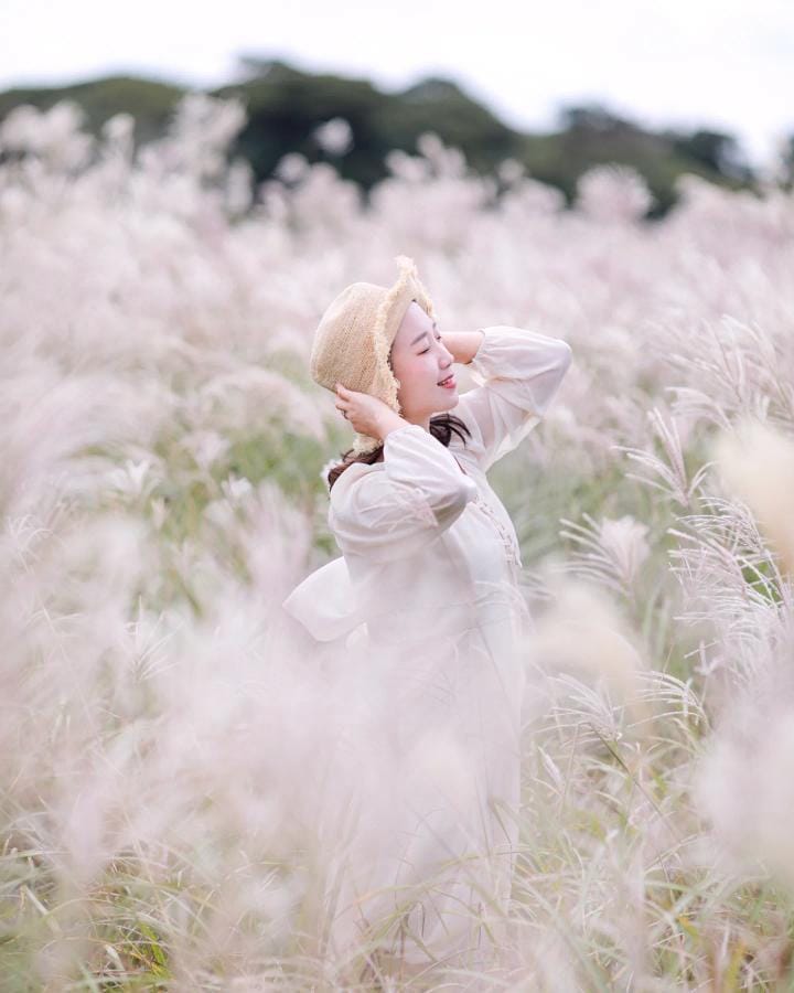 首爾花卉攝影 | 當地攝影師預約