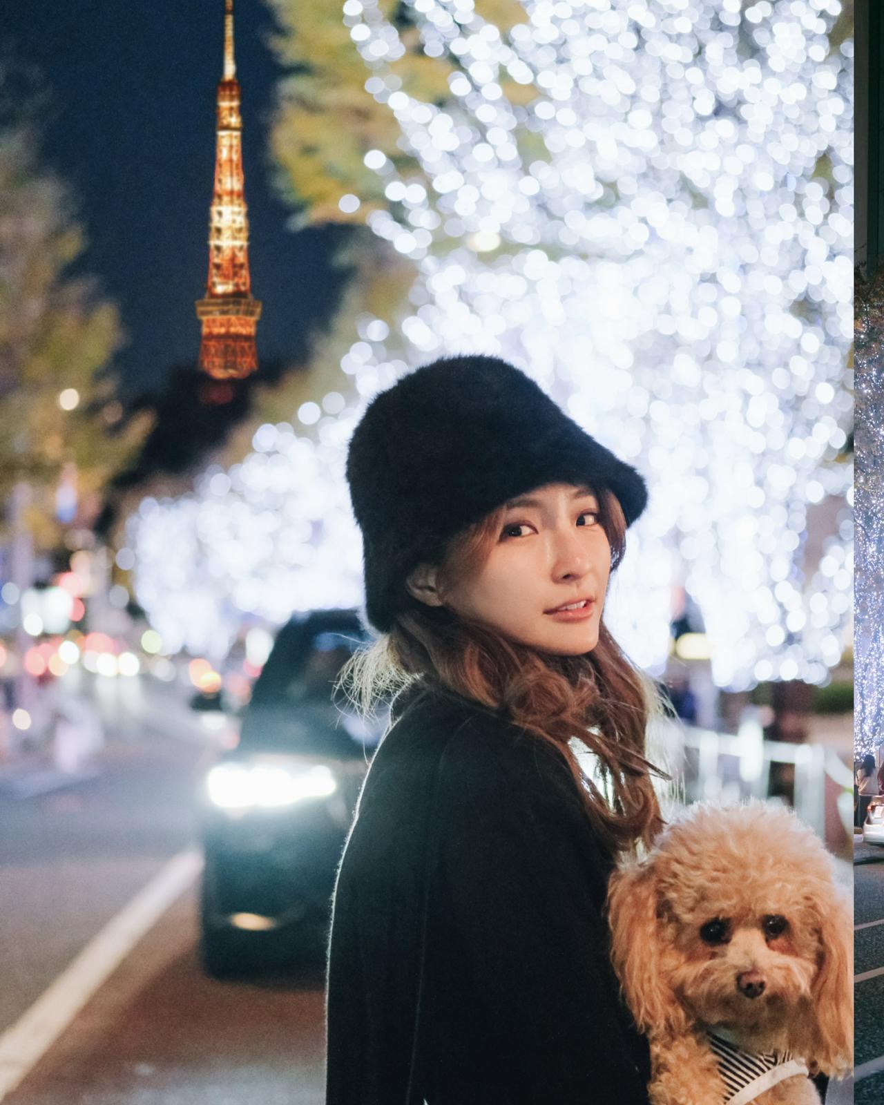 東京四季畫卷攝影之旅 | 日本聖誕攝影