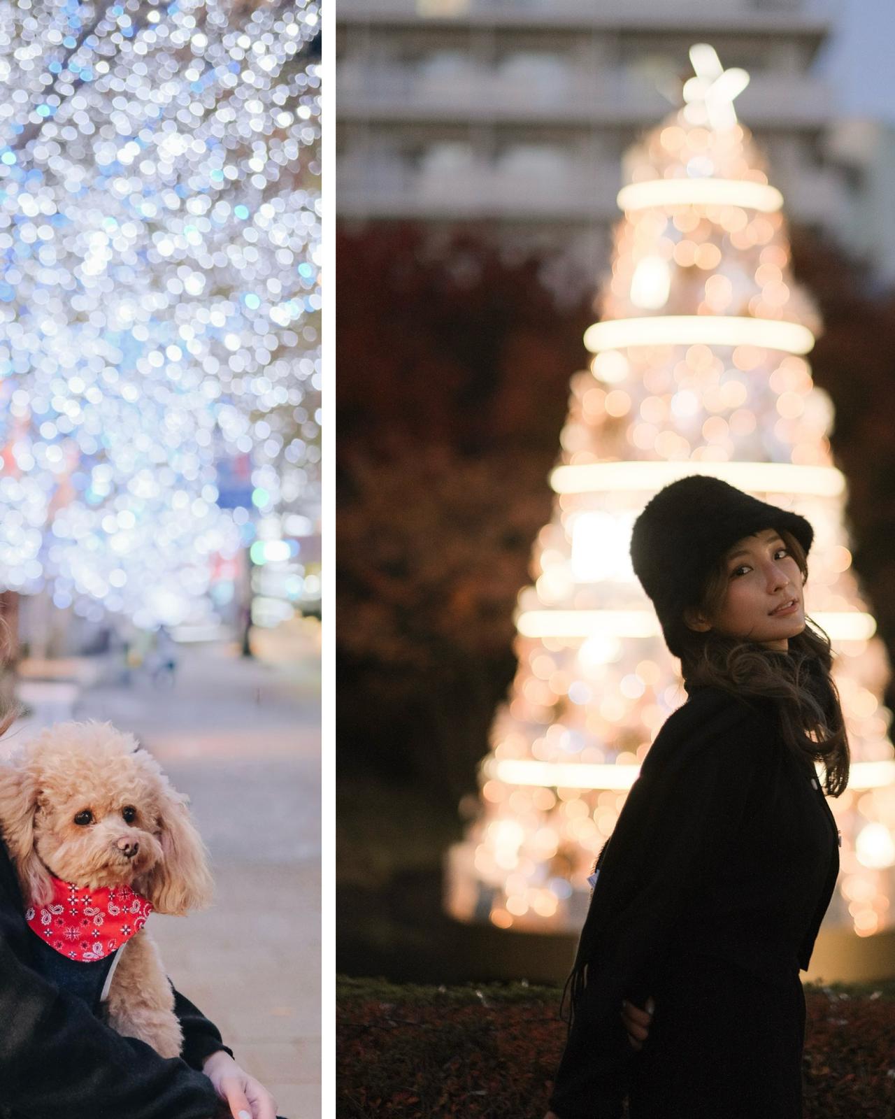 東京四季畫卷攝影之旅 | 日本聖誕攝影