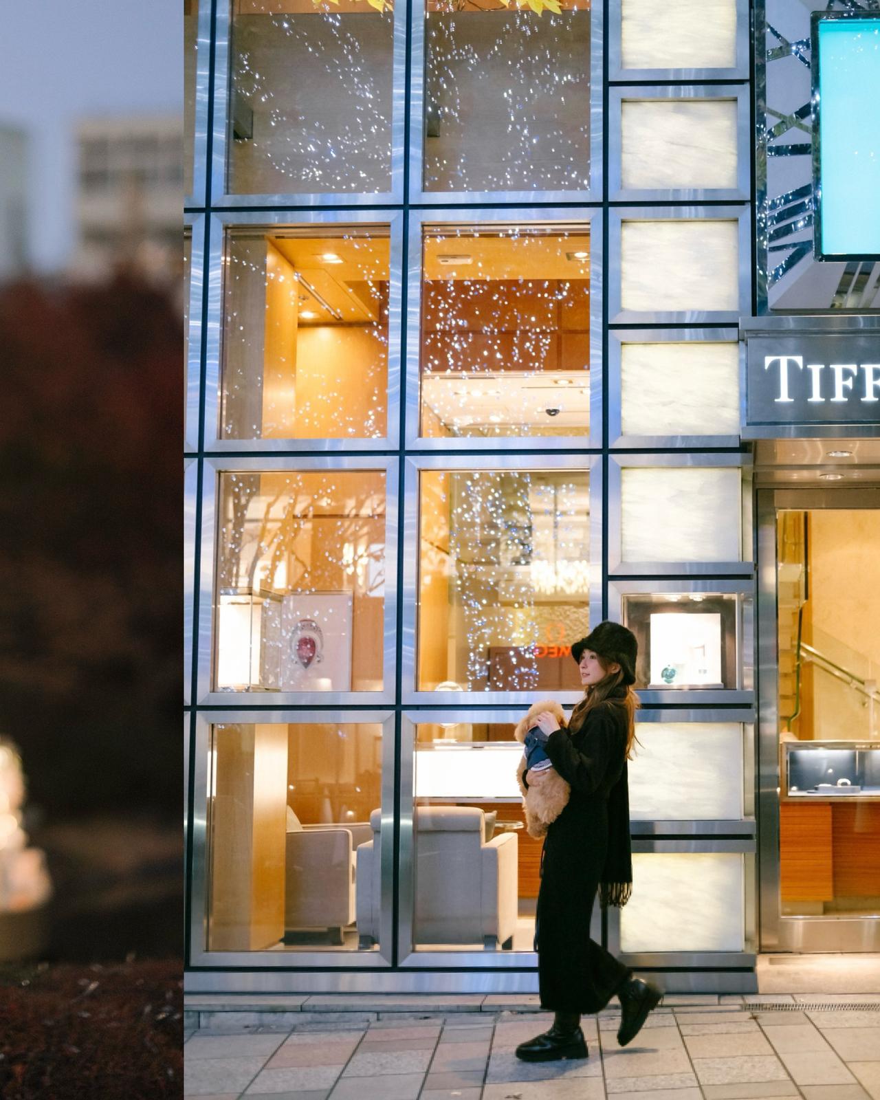 東京四季畫卷攝影之旅 | 日本聖誕攝影