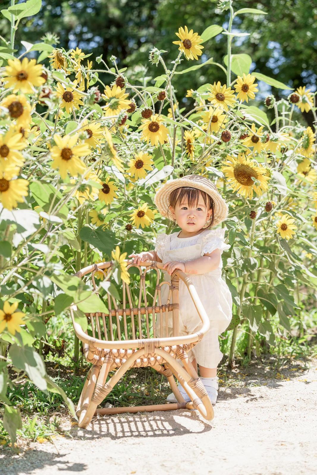 向日葵盛開:與Yuho在東京葛西臨海公園家庭攝影時光