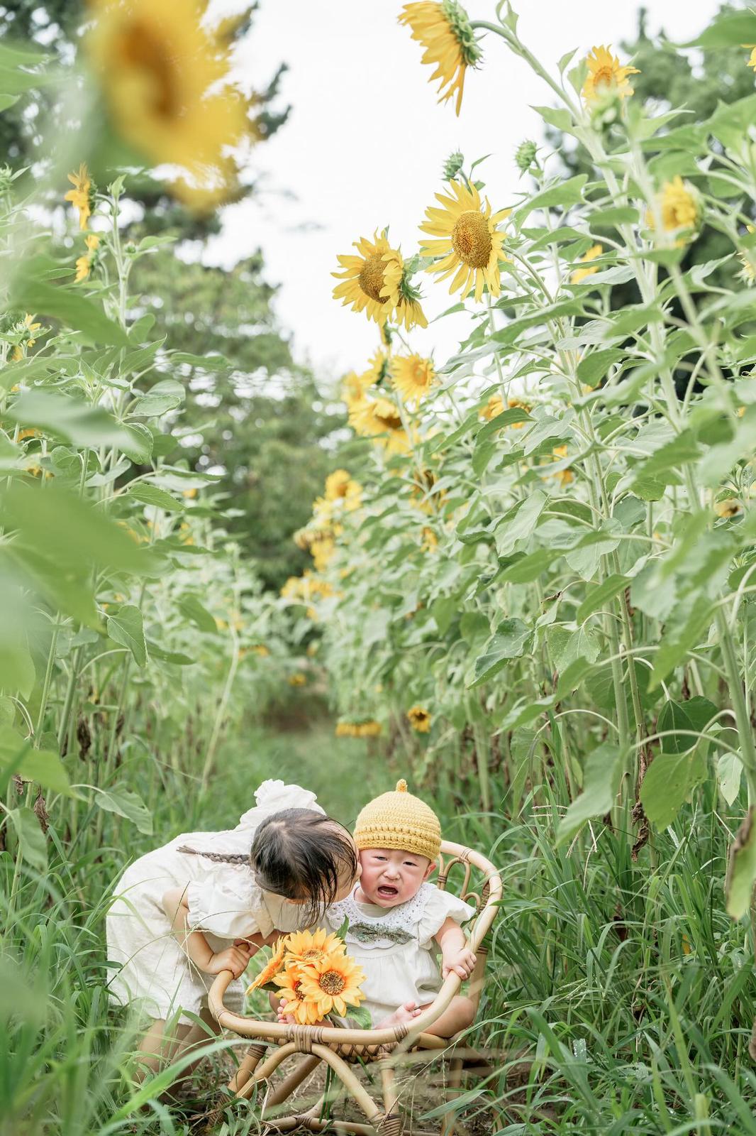 向日葵盛開:與Yuho在東京葛西臨海公園家庭攝影時光