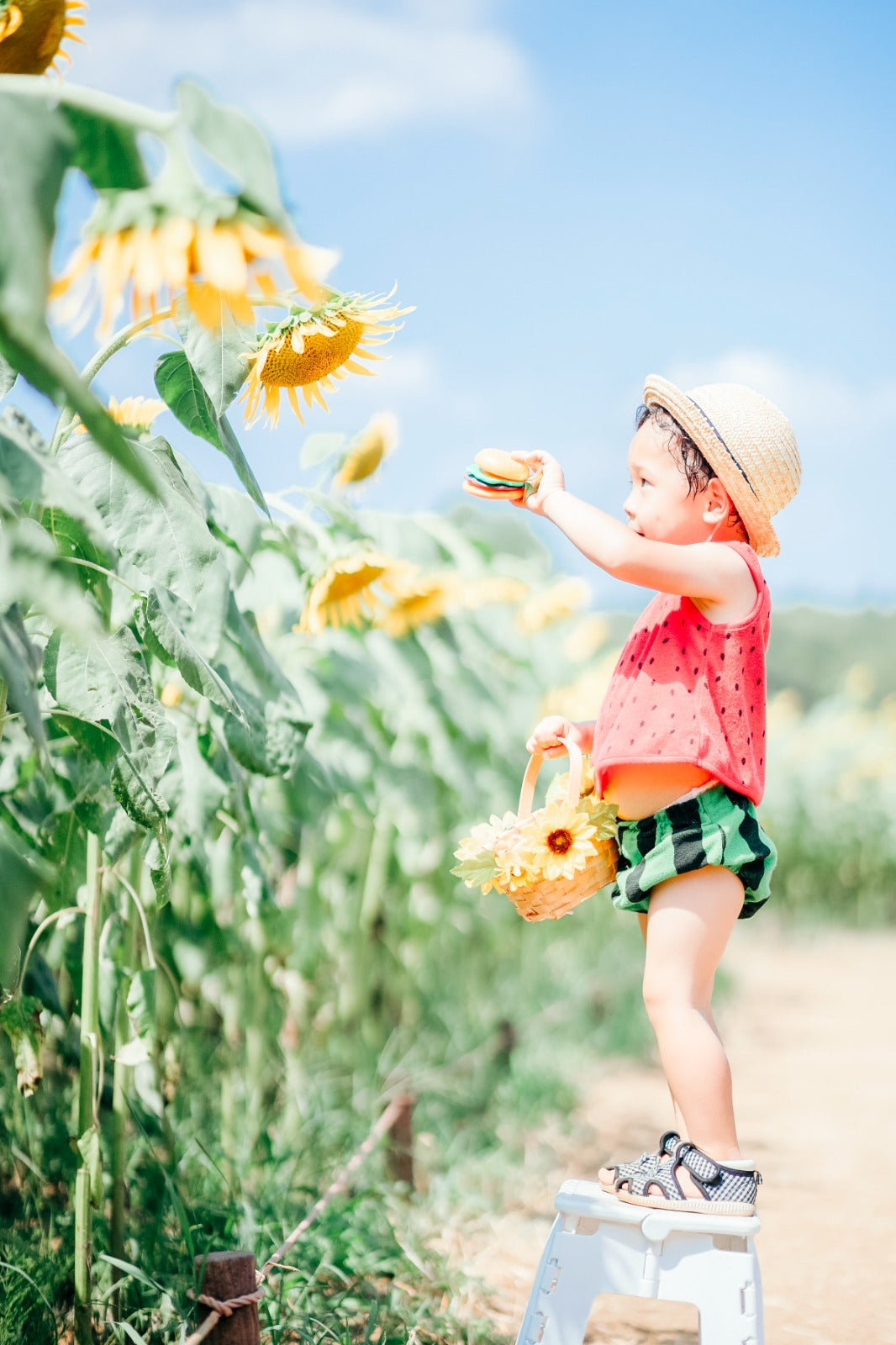 向日葵寶藏:東京昭和紀念公園Mai家庭攝影體驗