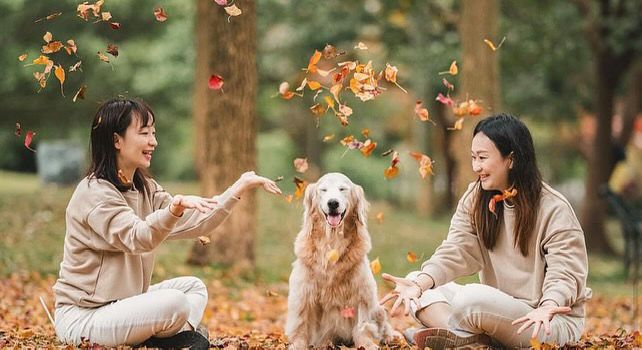 萌寵瞬間:Pod 的台北專業寵物攝影體驗