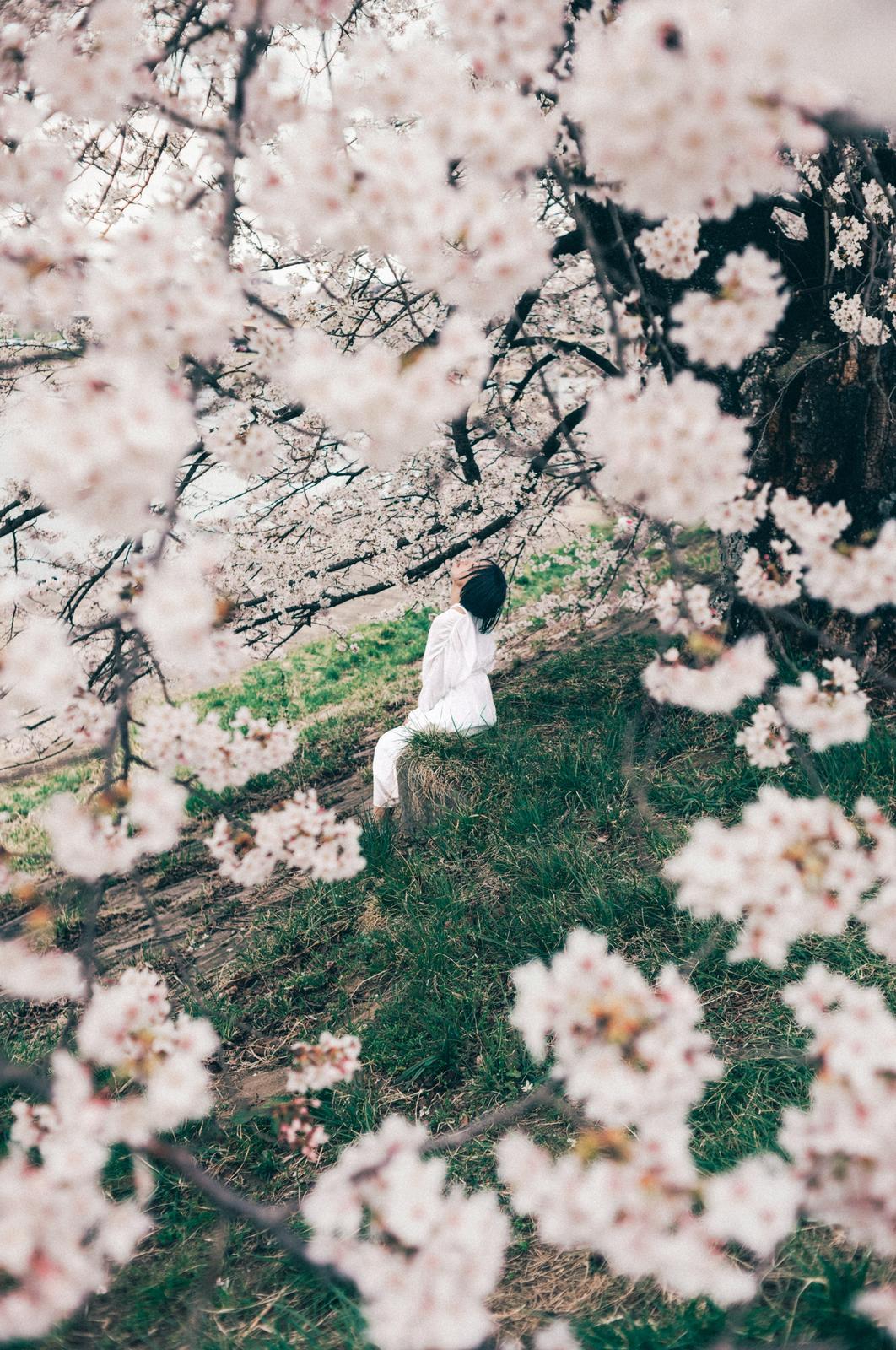 永恆的開始:Toshi 的仙台求婚攝影體驗