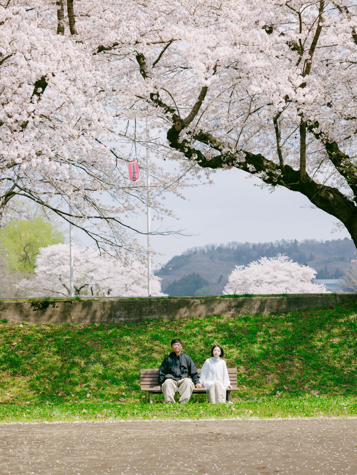 在台灣街頭談一場戀愛:由 Frank 捕捉你們的甜蜜日常