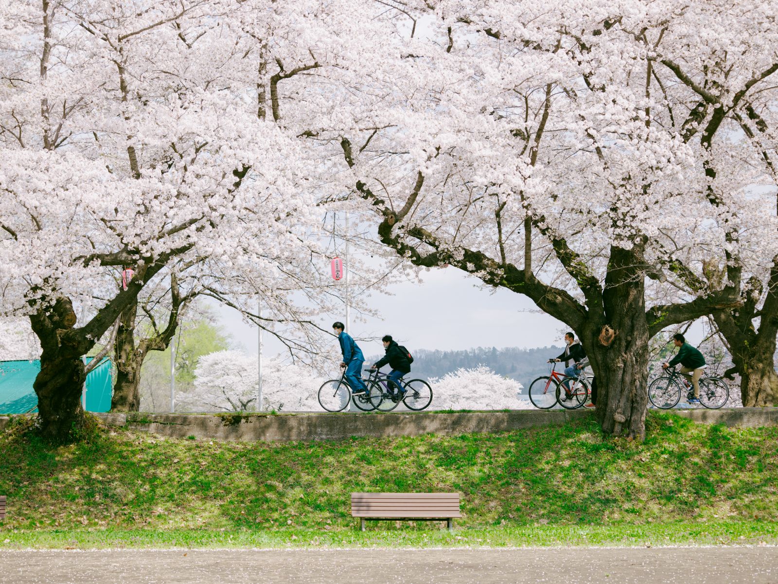 把台灣的日常變成回憶:Frank 為你記錄每一刻