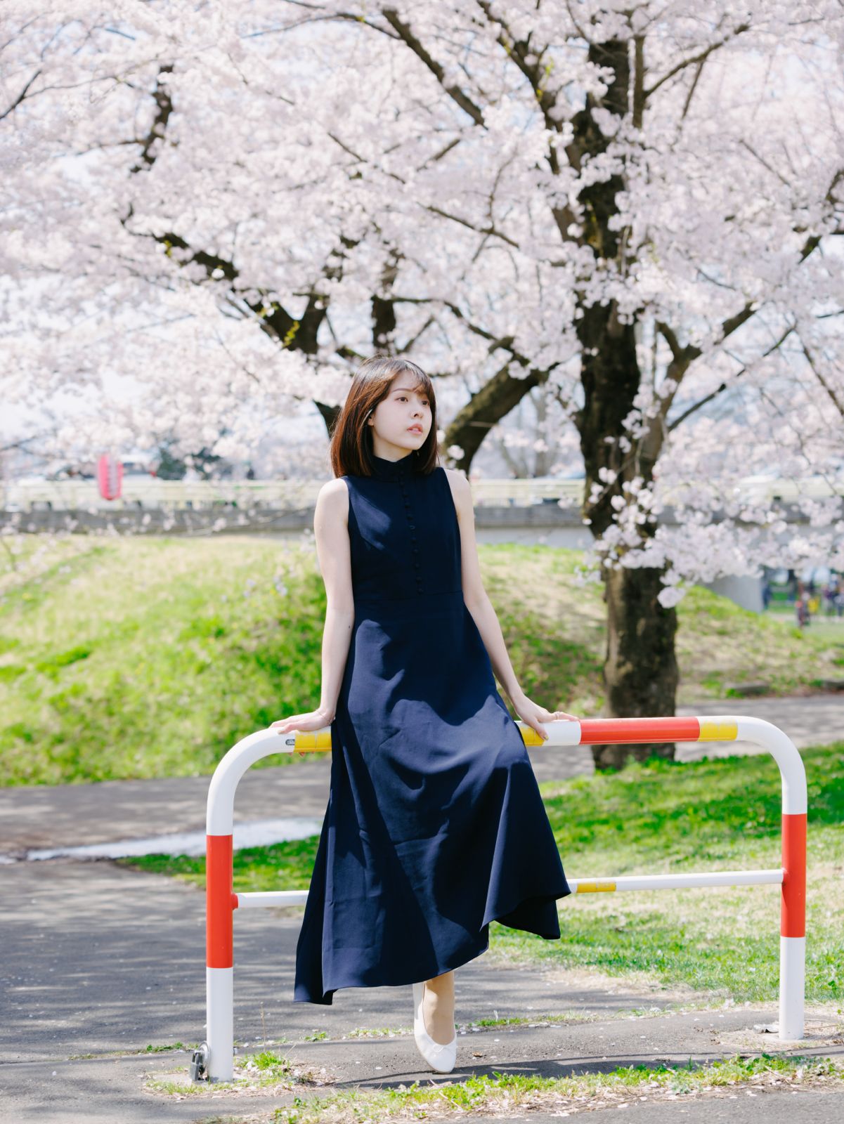 把台灣的日常變成回憶:Frank 為你記錄每一刻