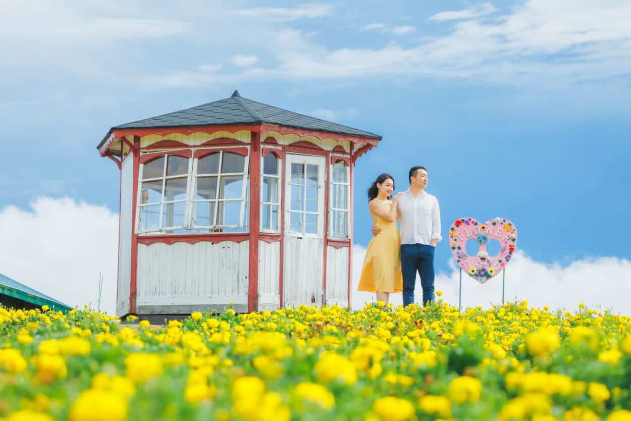 盛開的北海道:與 Masa 記錄你們的愛情故事