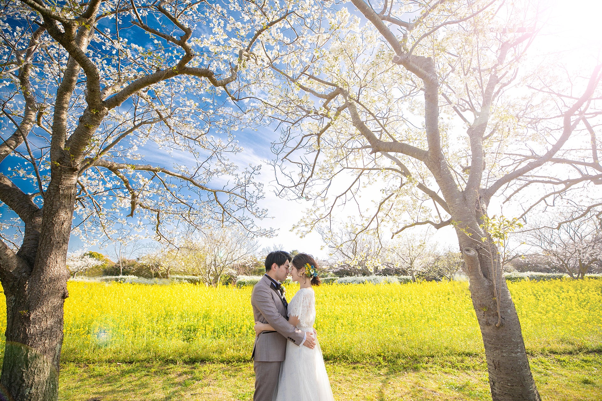 情感寫真:Ishii鏡頭下的福岡愛侶故事