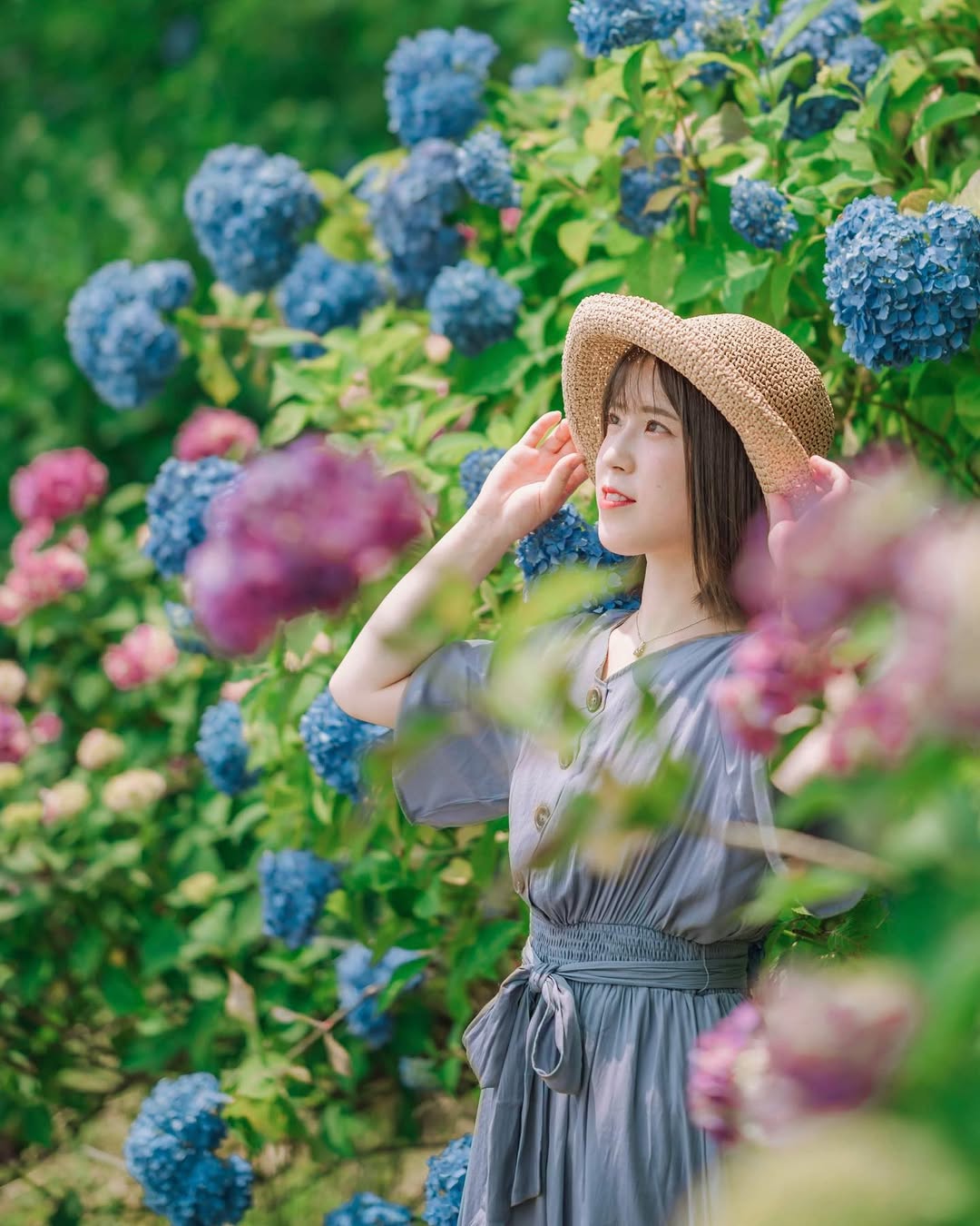 富山繡球花海回憶:Masato捕捉幸福瞬間