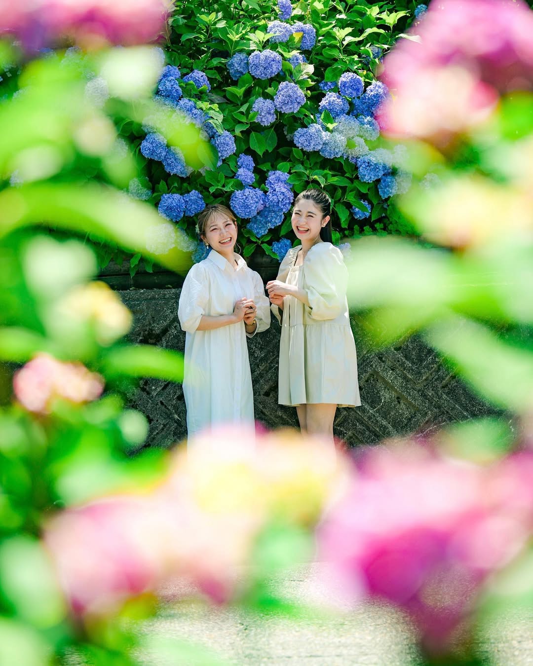 富山繡球花海回憶:Masato捕捉幸福瞬間
