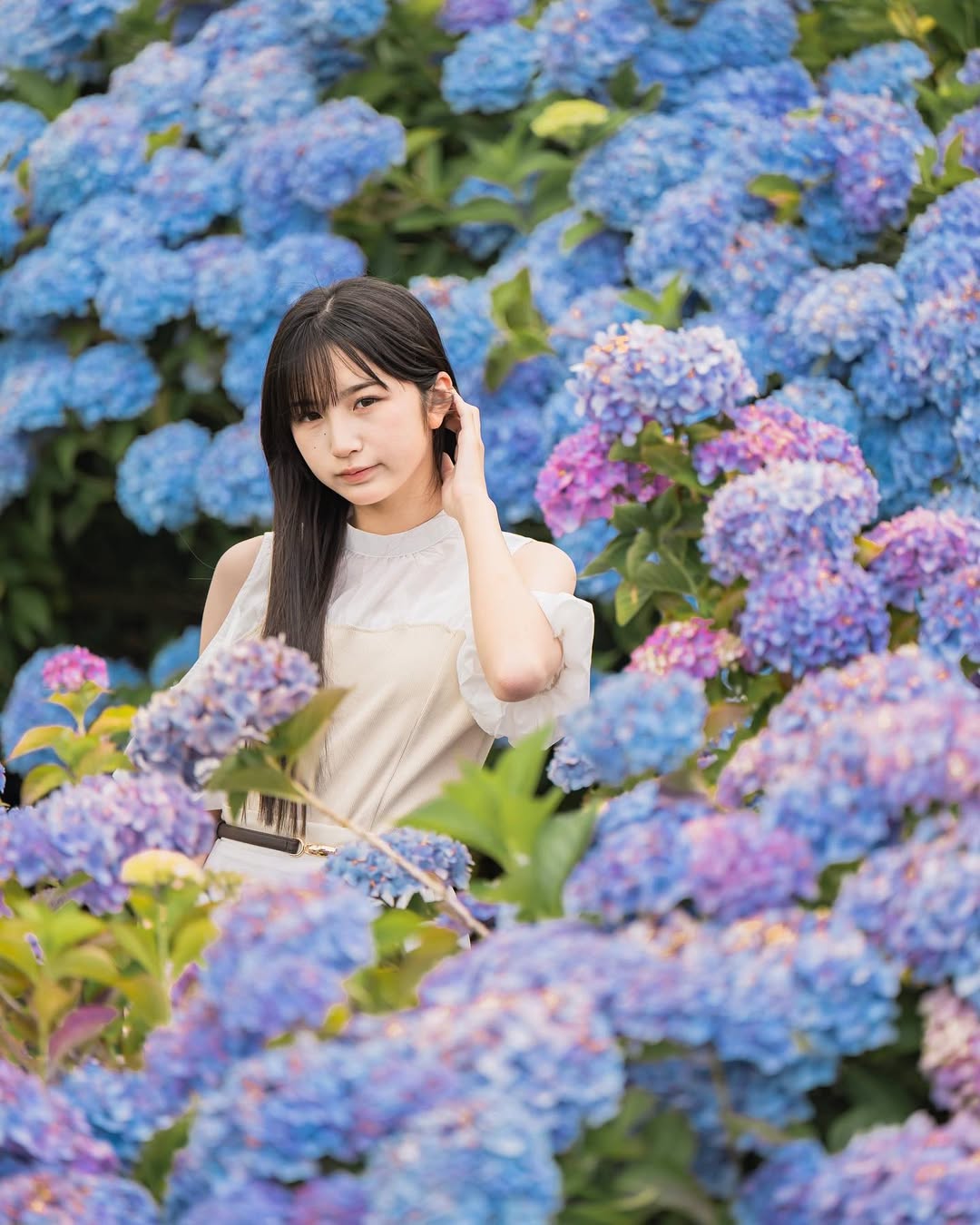 富山繡球花海回憶:Masato捕捉幸福瞬間