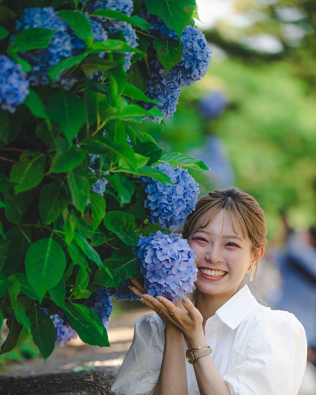 富山繡球花海回憶:Masato捕捉幸福瞬間