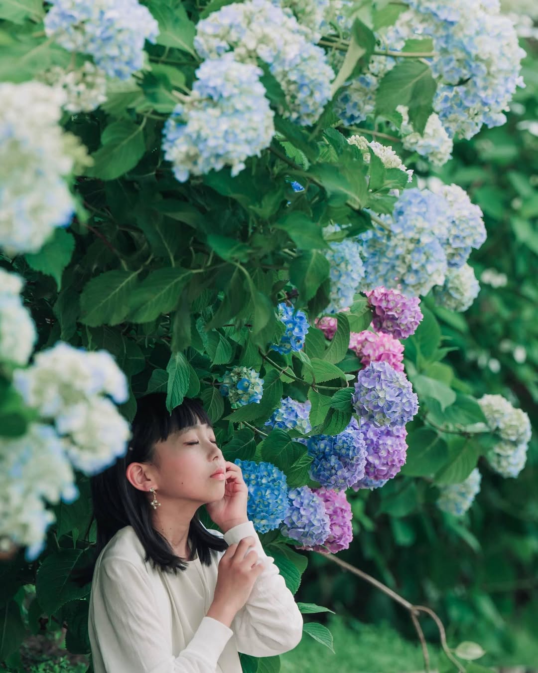 富山繡球花海回憶:Masato捕捉幸福瞬間