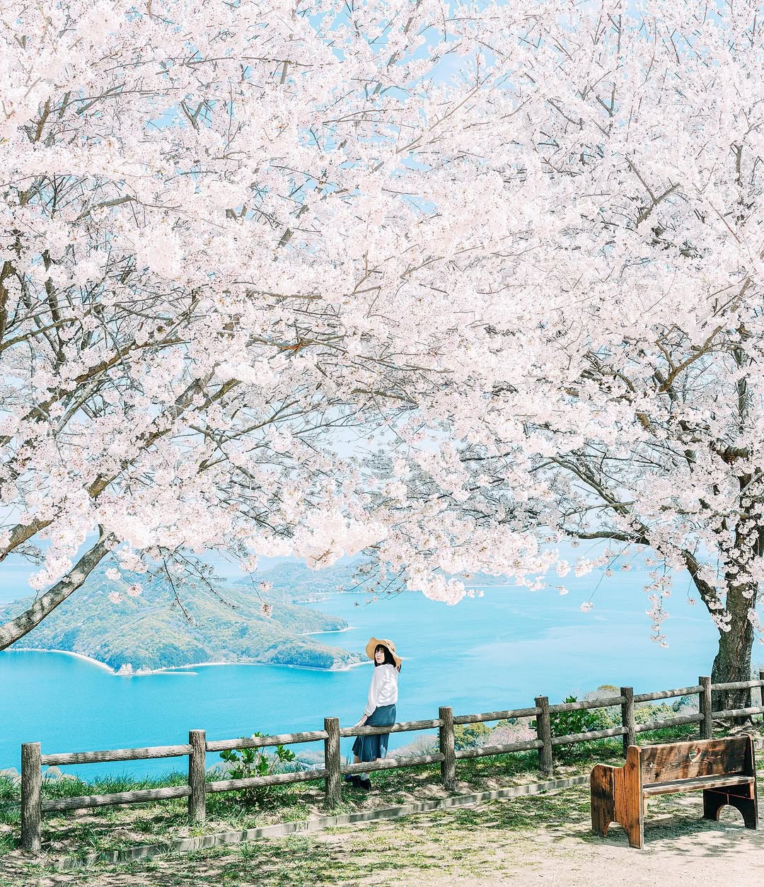 發現廣島之美:Dayo與你的攝影之旅