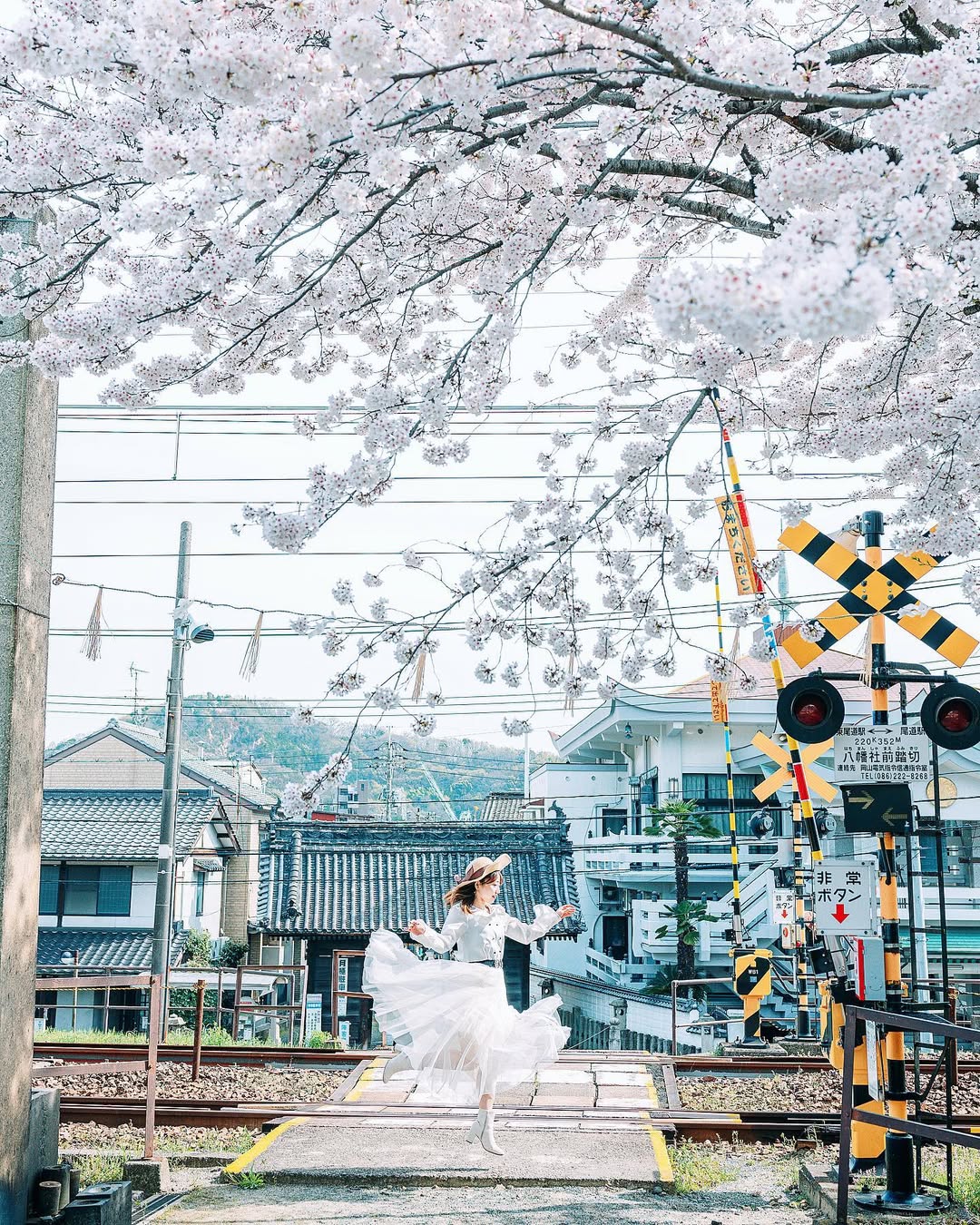 發現廣島之美:Dayo與你的攝影之旅