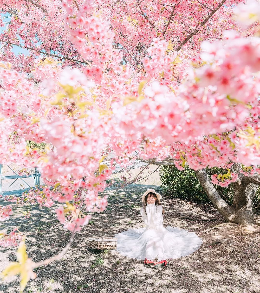 發現廣島之美:Dayo與你的攝影之旅