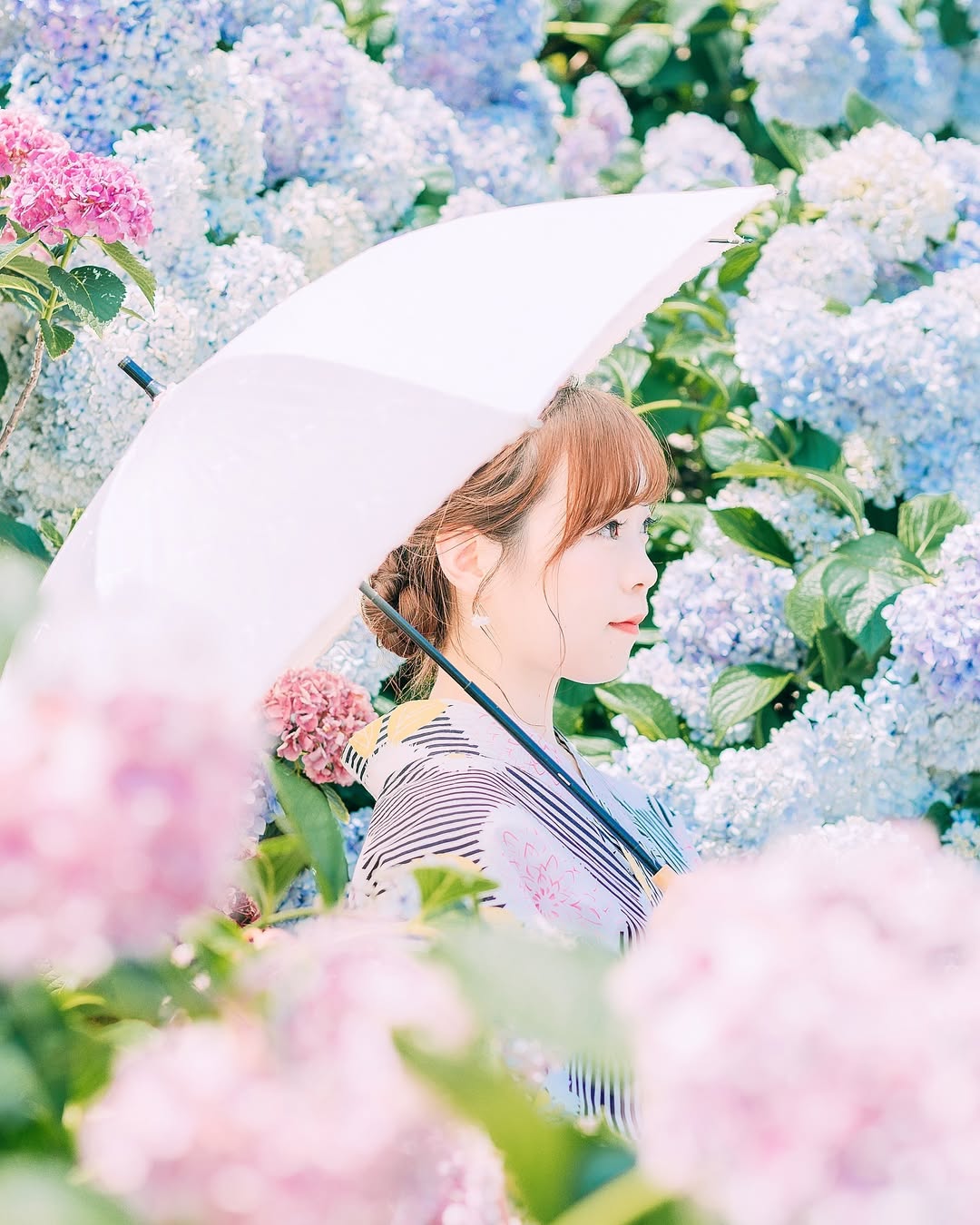 發現廣島之美:Dayo與你的攝影之旅