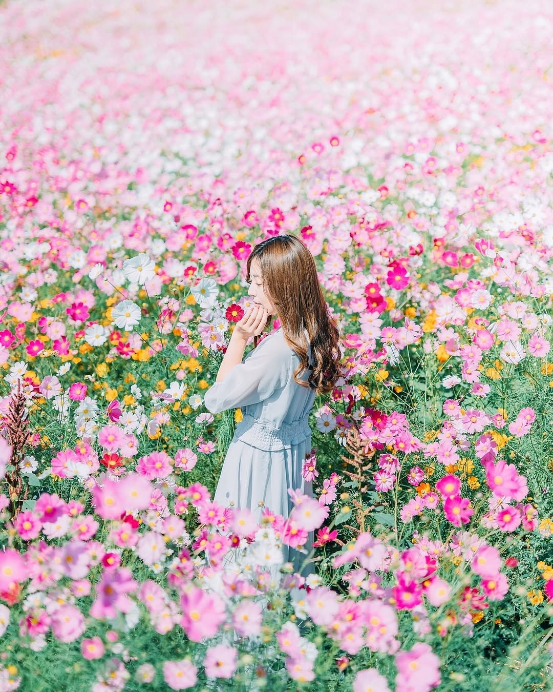 發現廣島之美:Dayo與你的攝影之旅